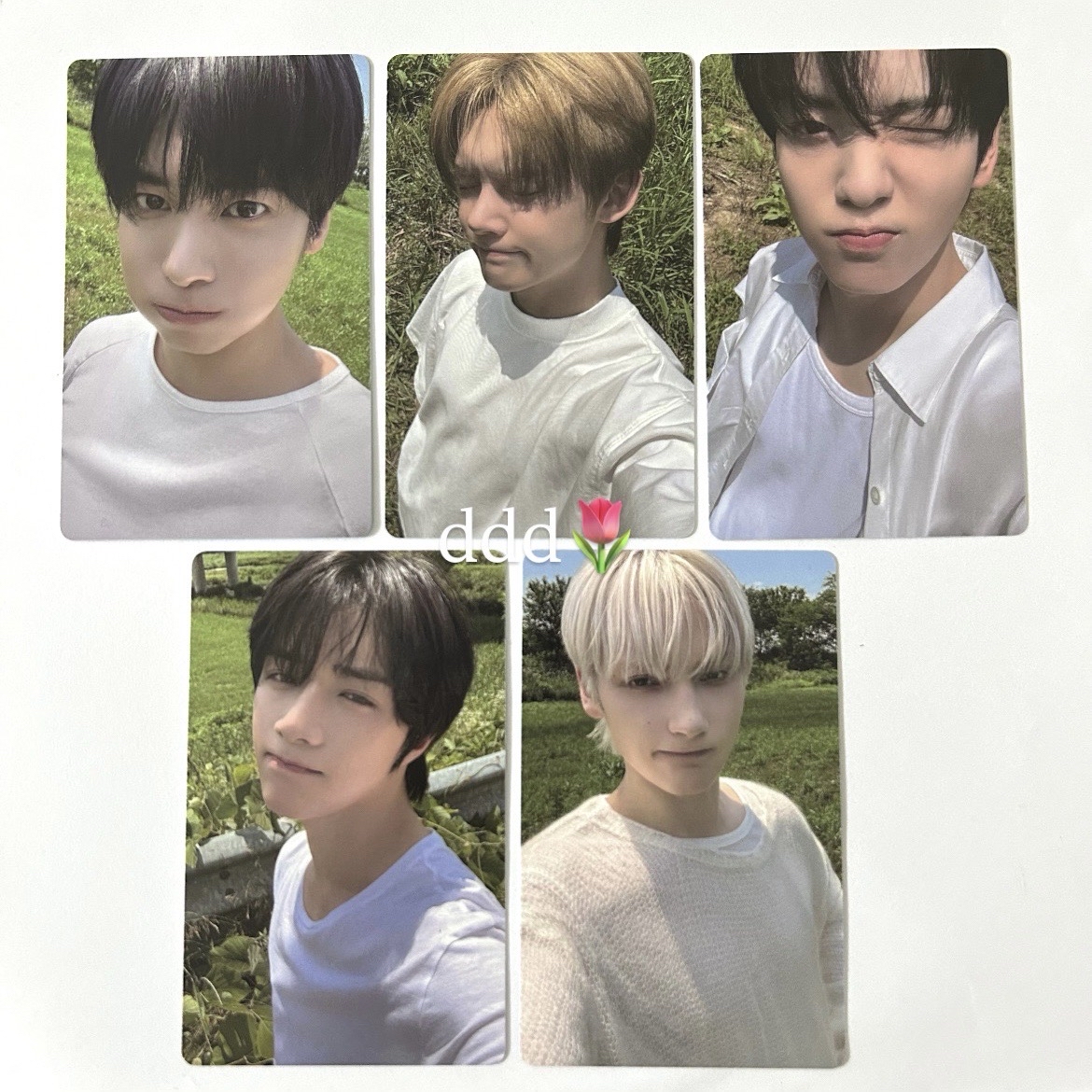 值得收藏的一組草地清純寶寶們