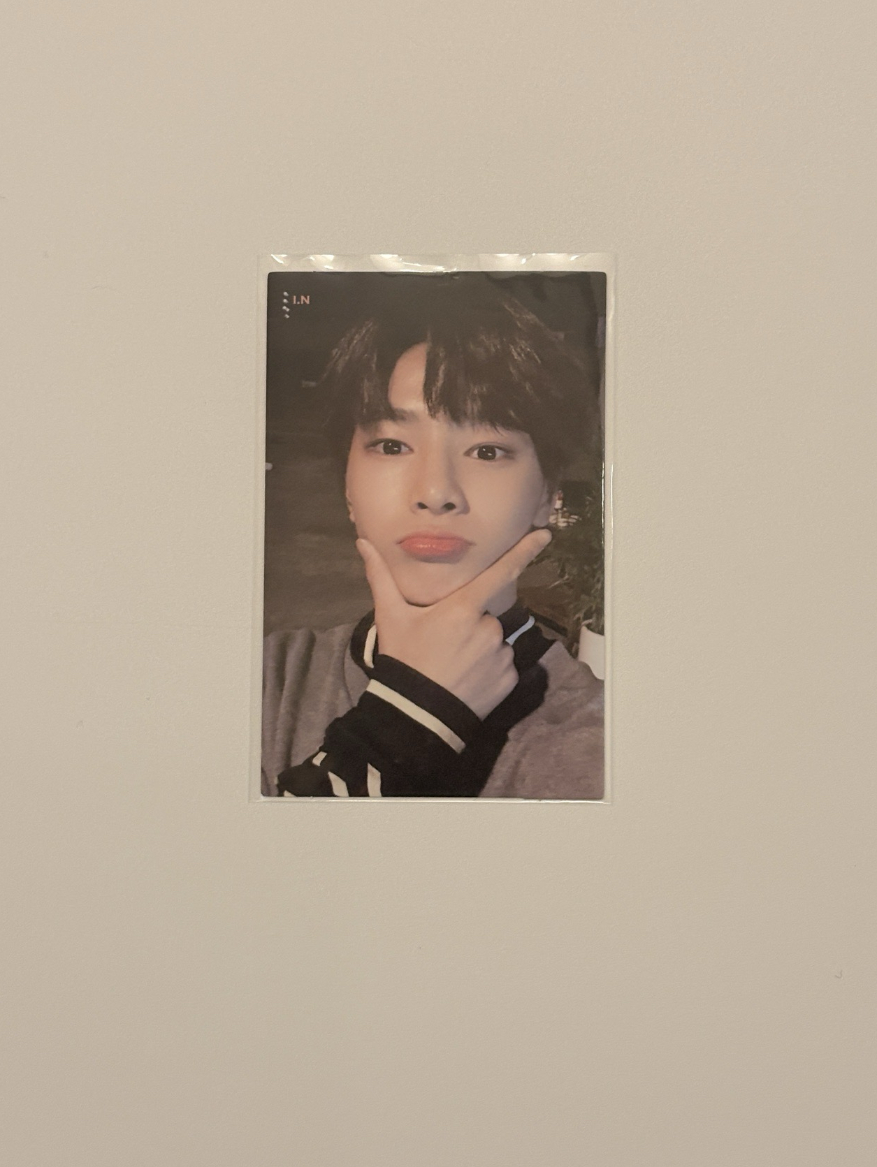 I am YOU 專輯卡 C-1 ver. - 寅