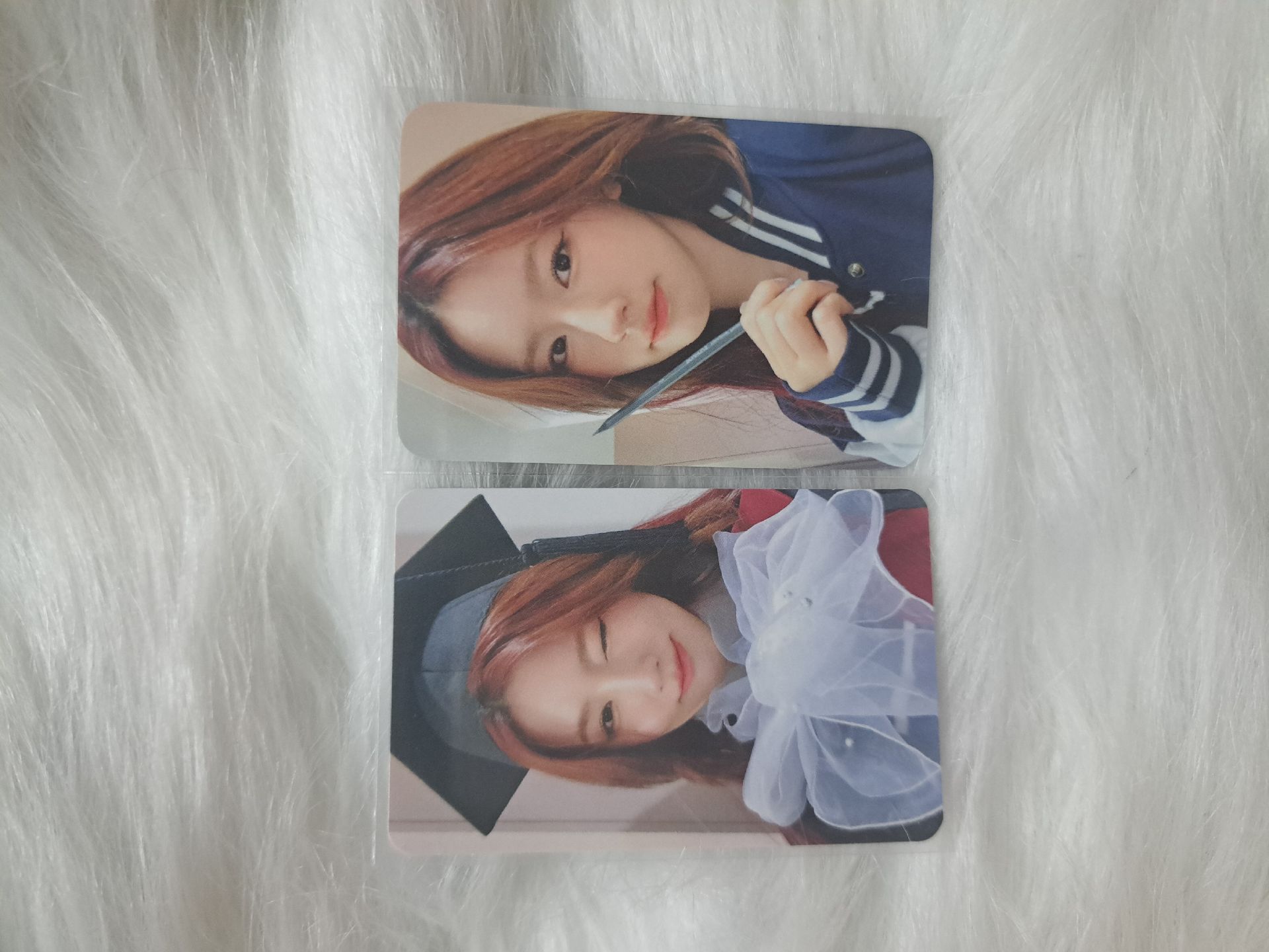 畢業和學生麵麵