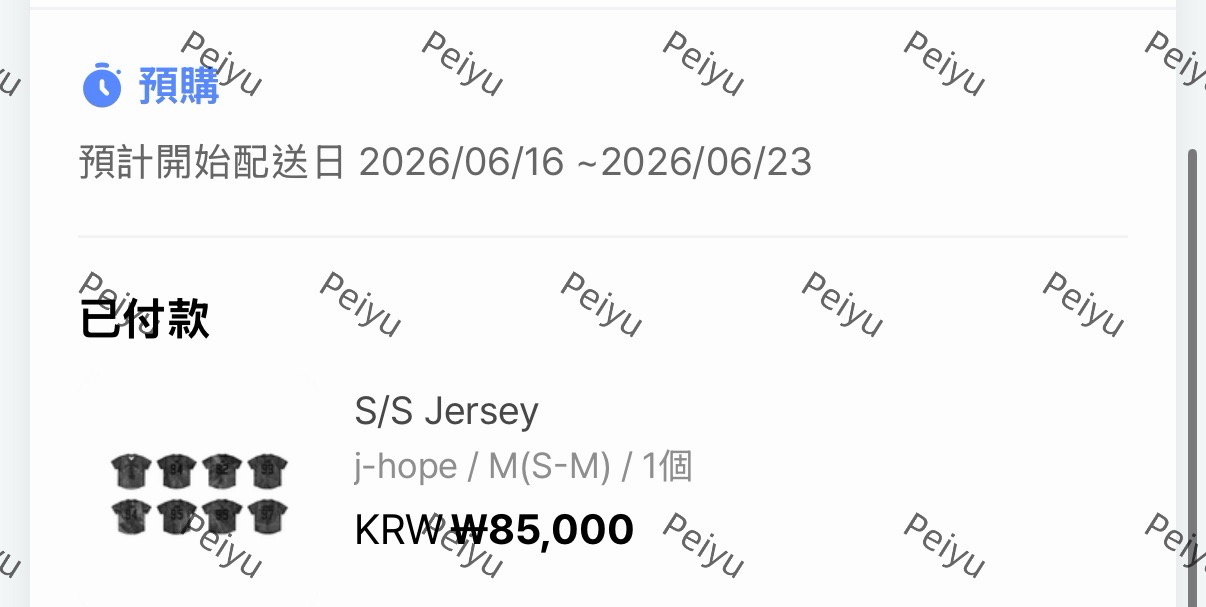 BTS 世巡周邊 預購 球衣 韓通 二販