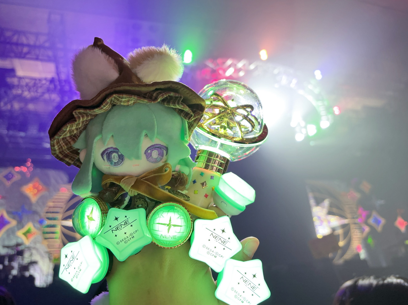 世界計畫六週年一定退