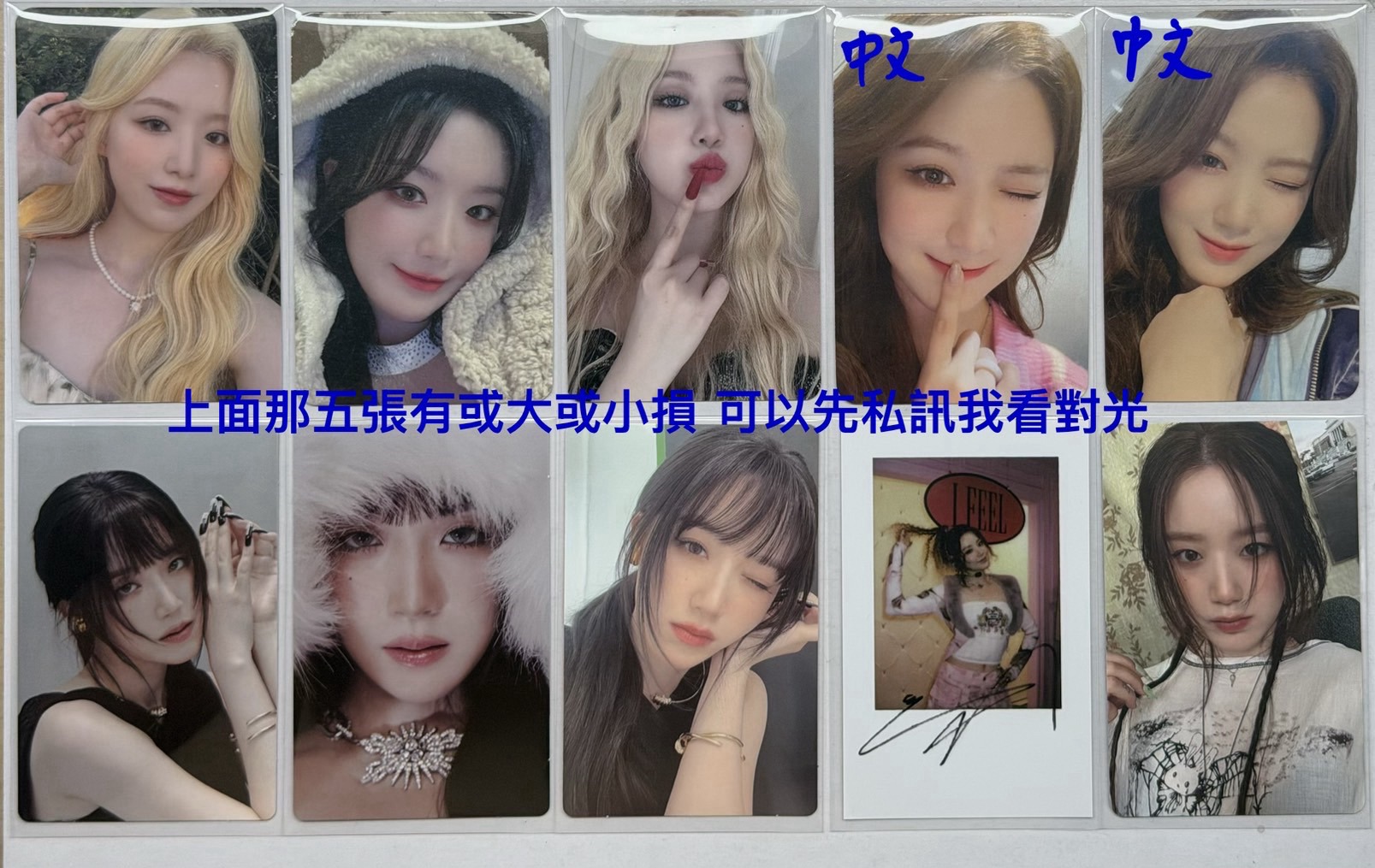 純刷｜中背、金髮｜低價填卡冊｜整圖競標