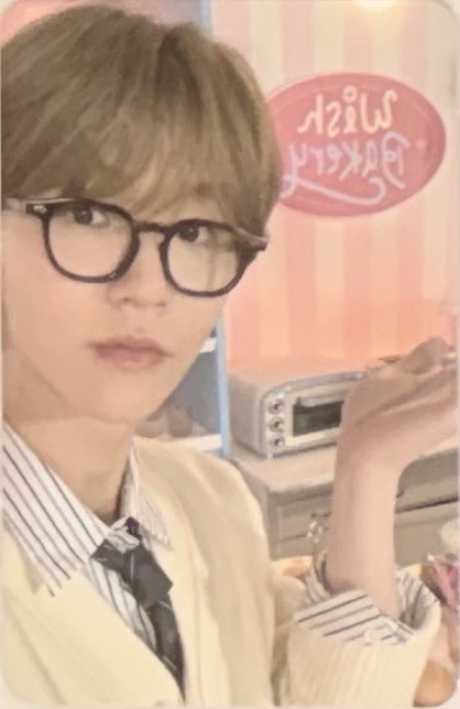 sm預售 麵包店樹 眼鏡樹