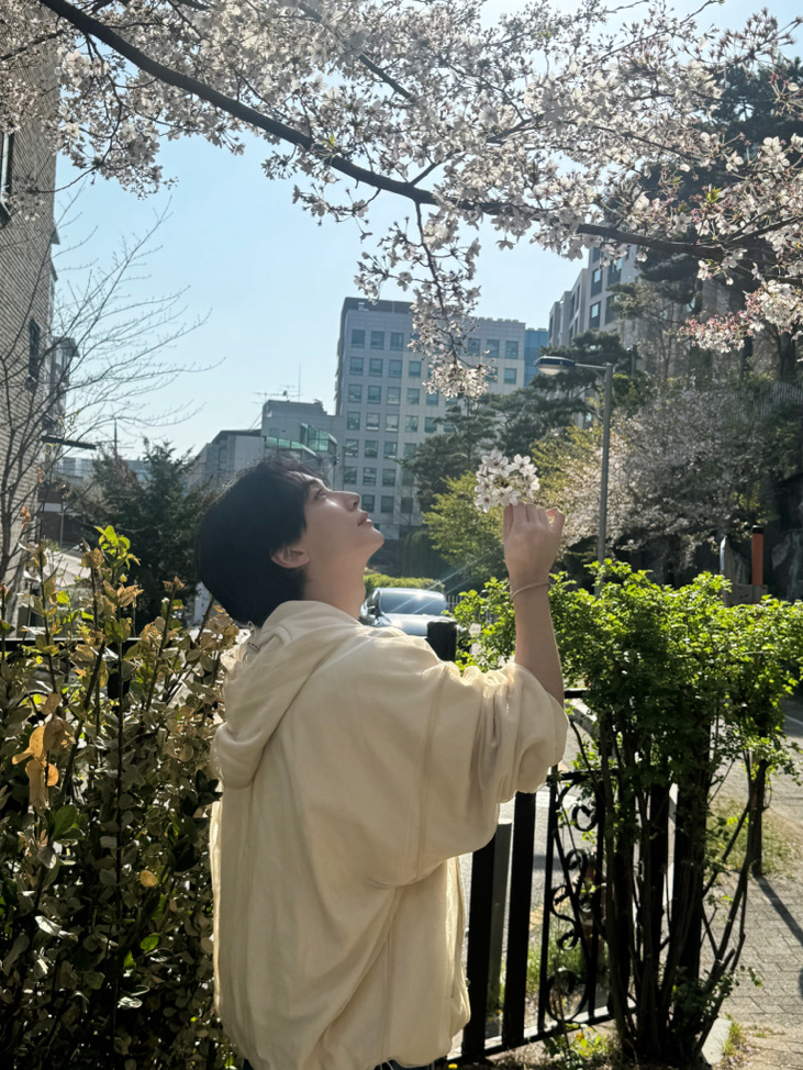 葡萄葡萄