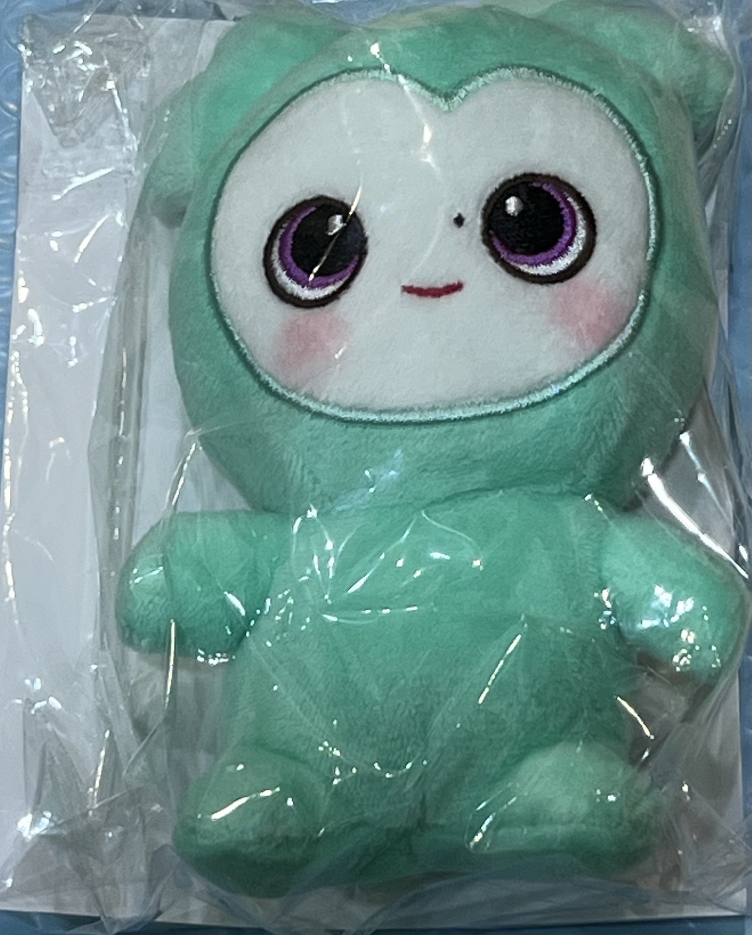 TWICE日巡 杯套娃/飲料提袋 南