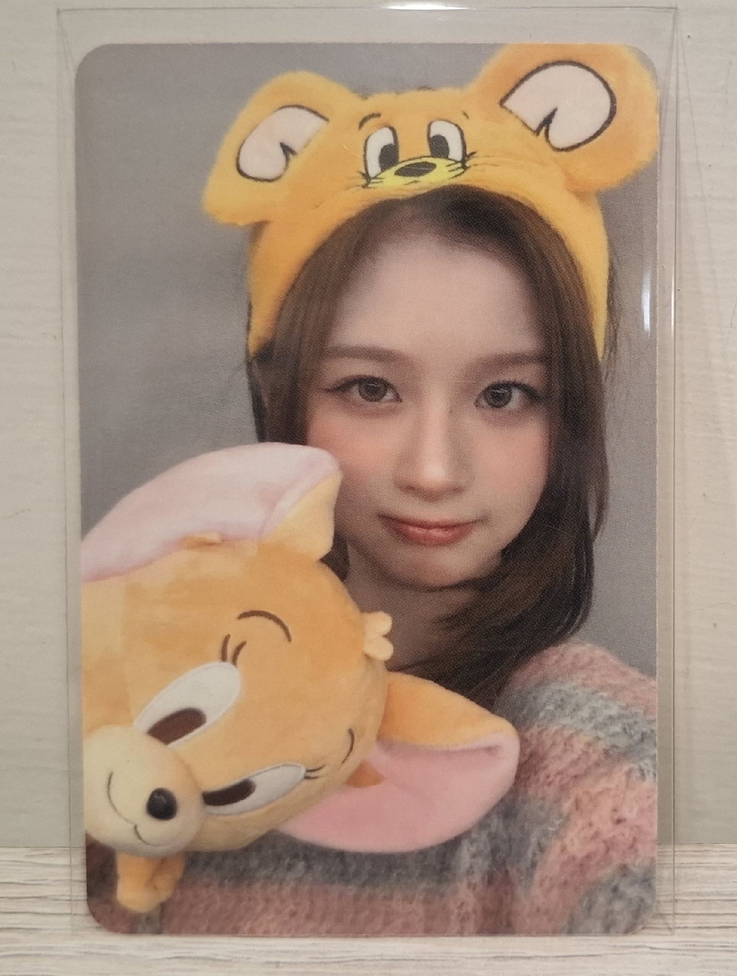 ✅️貓與老鼠薛