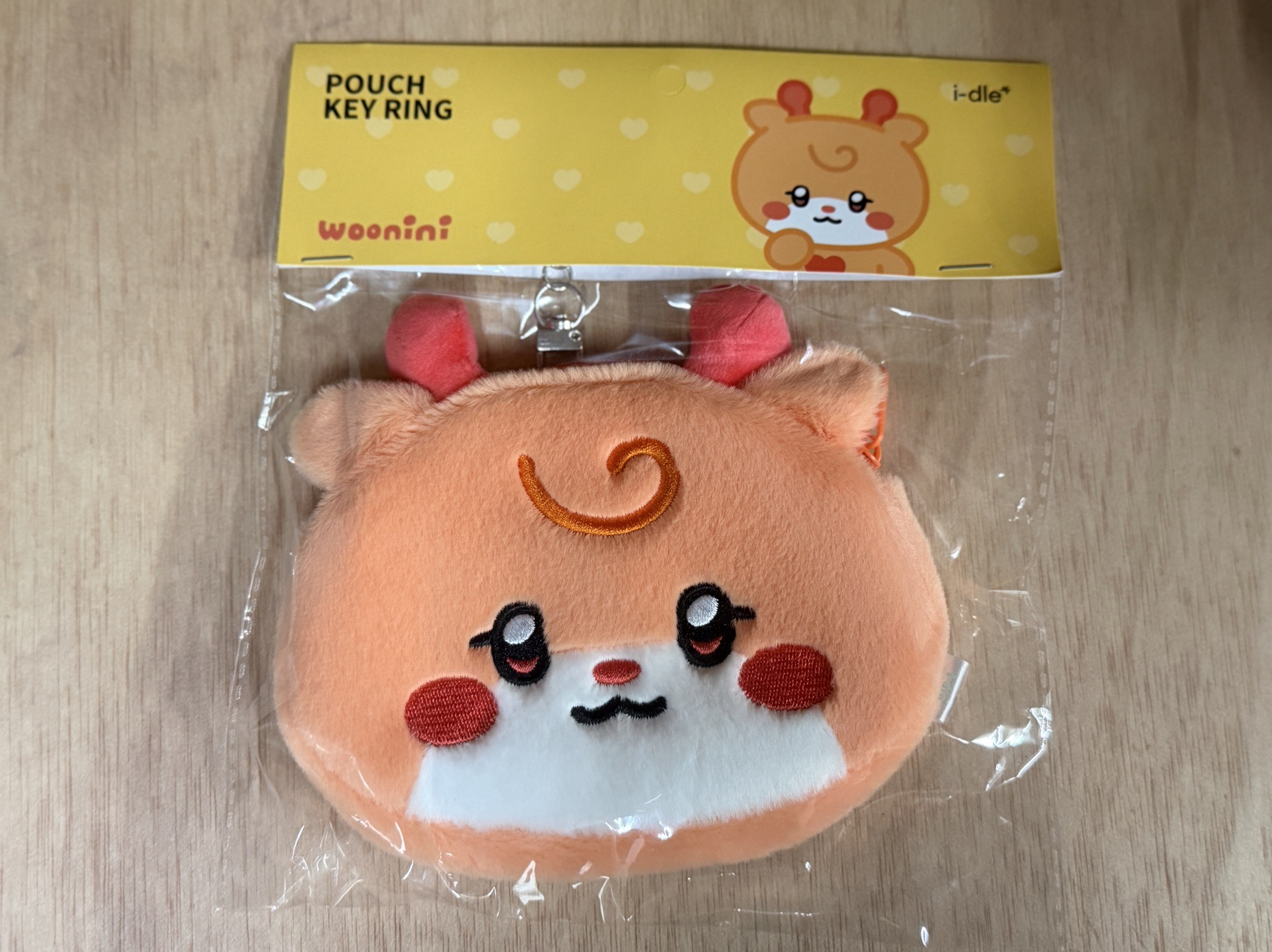 i-dle 雨琦 展覽吊飾零錢包 全新附琦卡