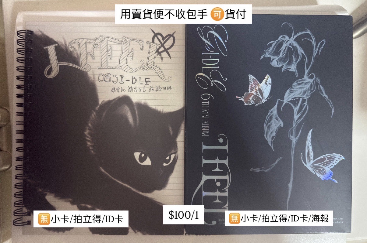 貓版🐱