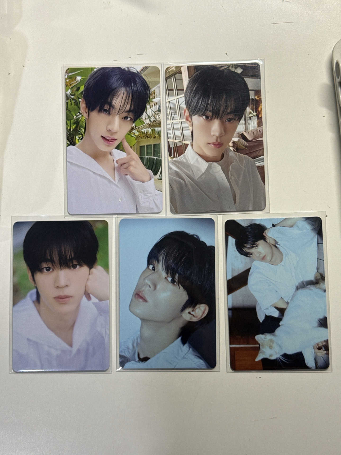 道勳日專隨機卡