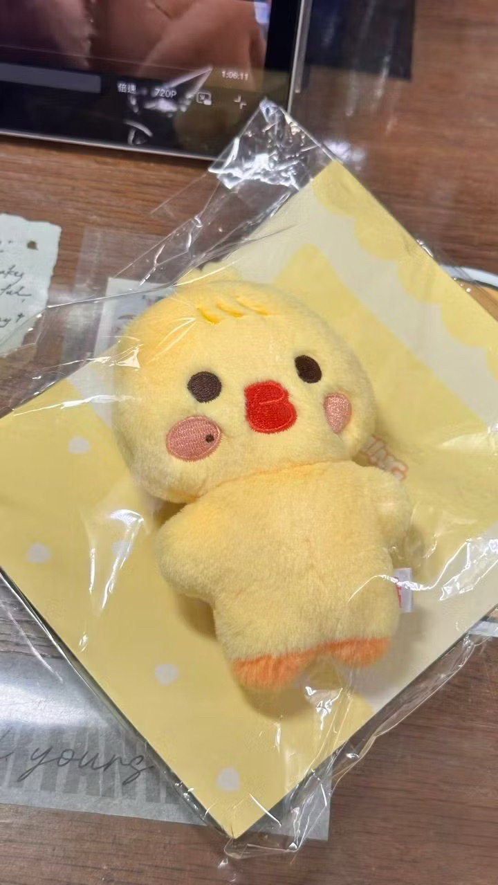 豆豆眼蹦旼（❗️需綁五張💚