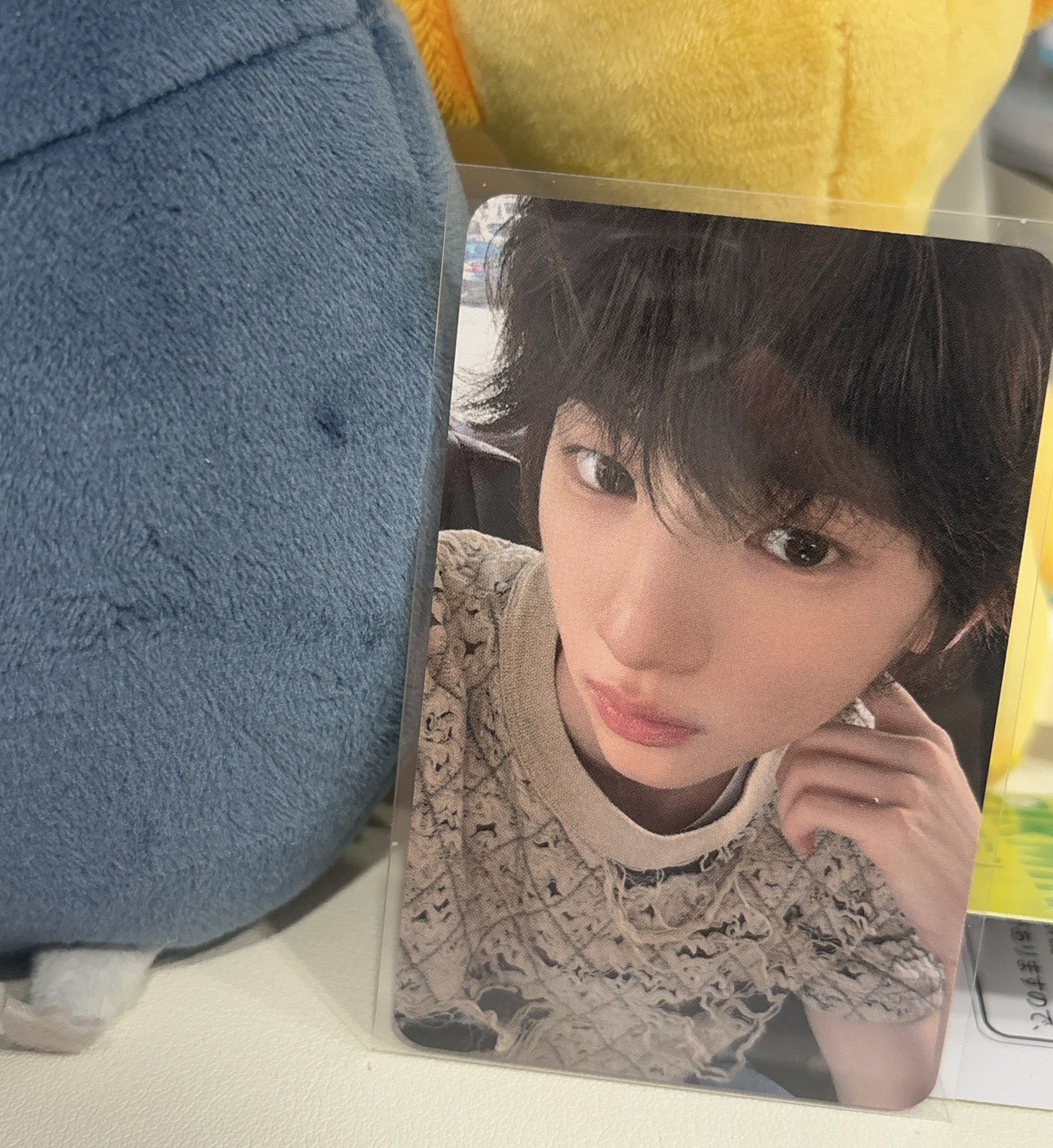 Cortis｜BDM｜金主訓 