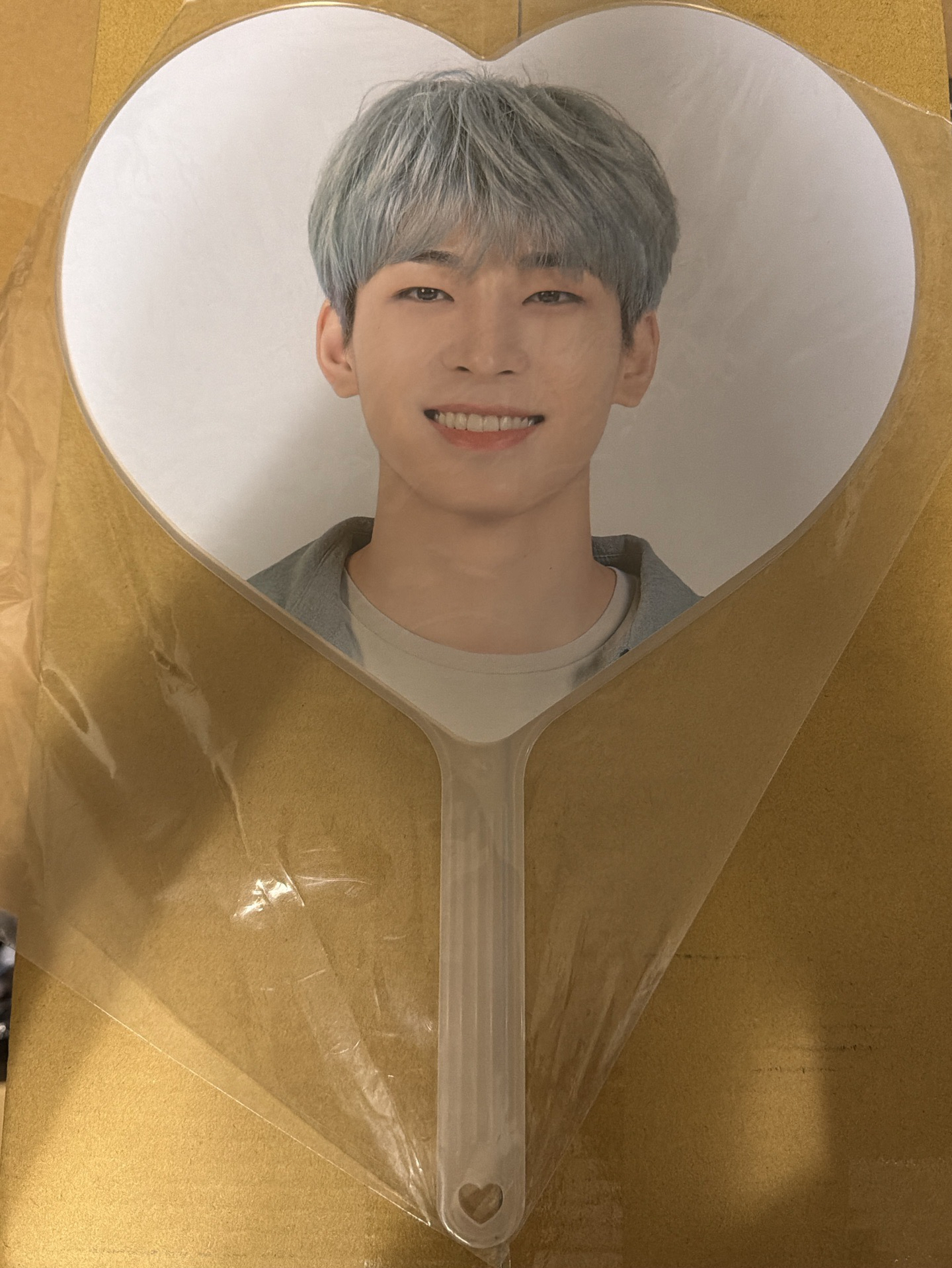 （全新未拆現貨 紙箱寄出 可當日寄出）seventeen 圓佑 愛心扇 2020 克拉島