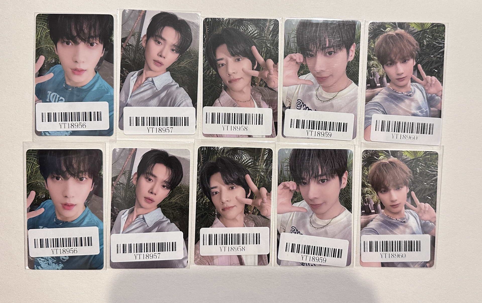 kms 2.0 中文卡背 單出現貨