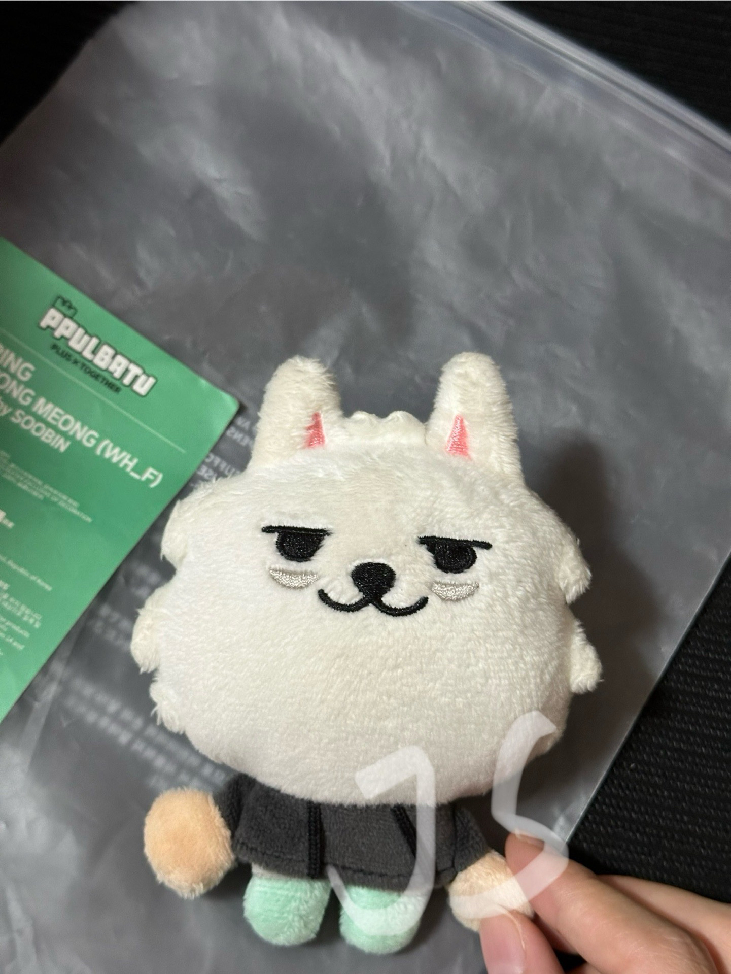 原皮勇猛（有原袋