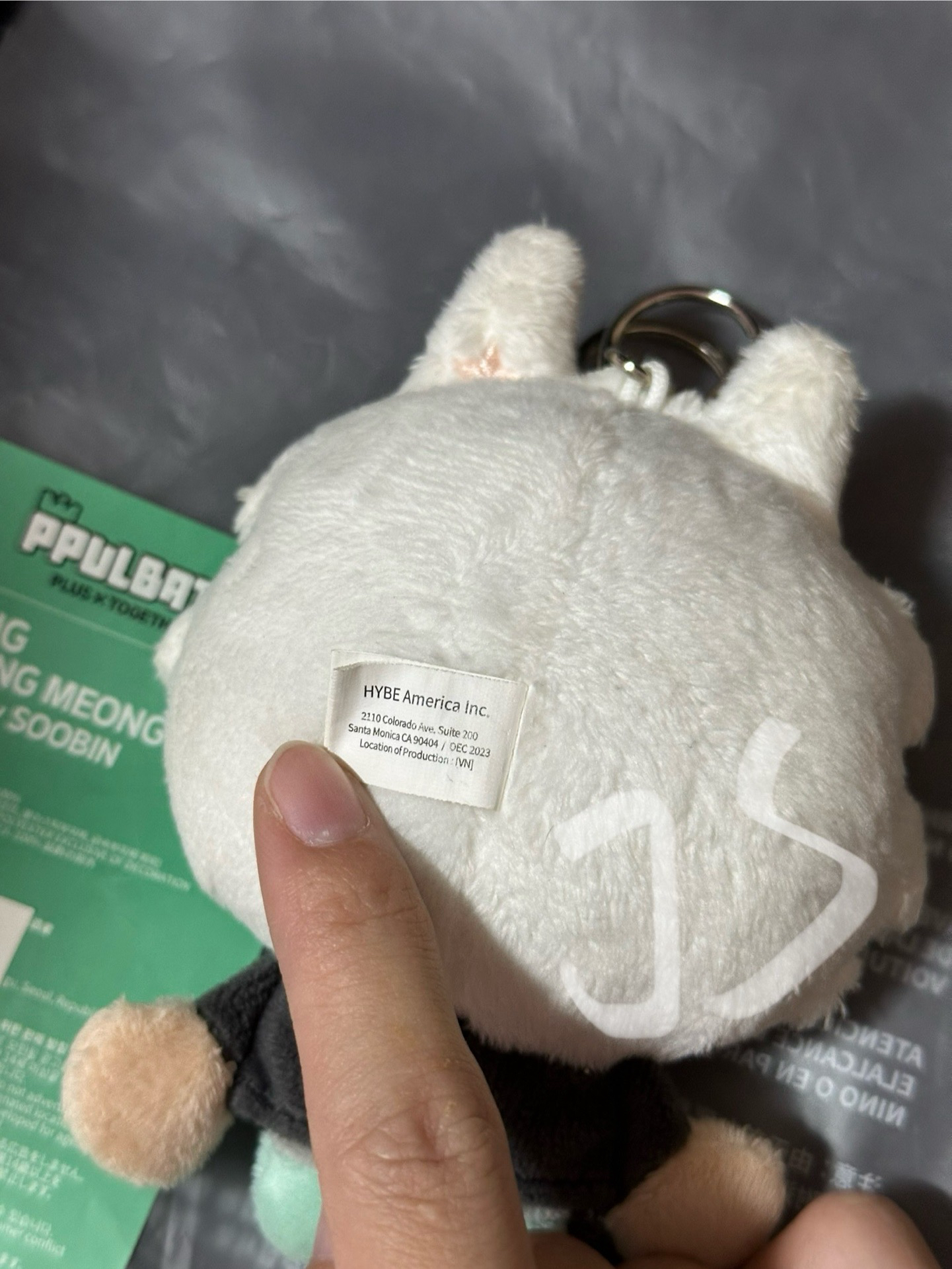 原皮勇猛（有原袋