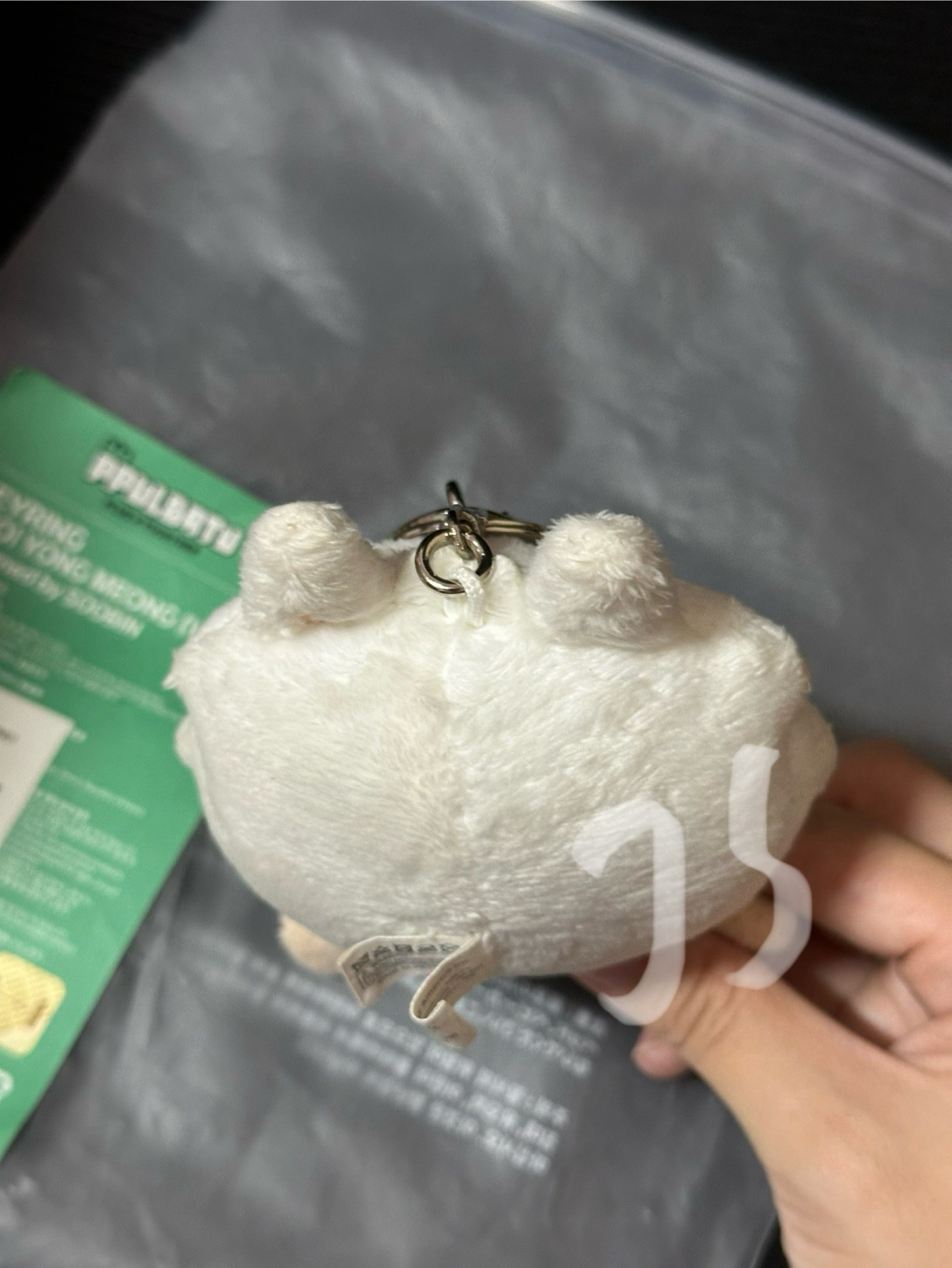 原皮勇猛（有原袋