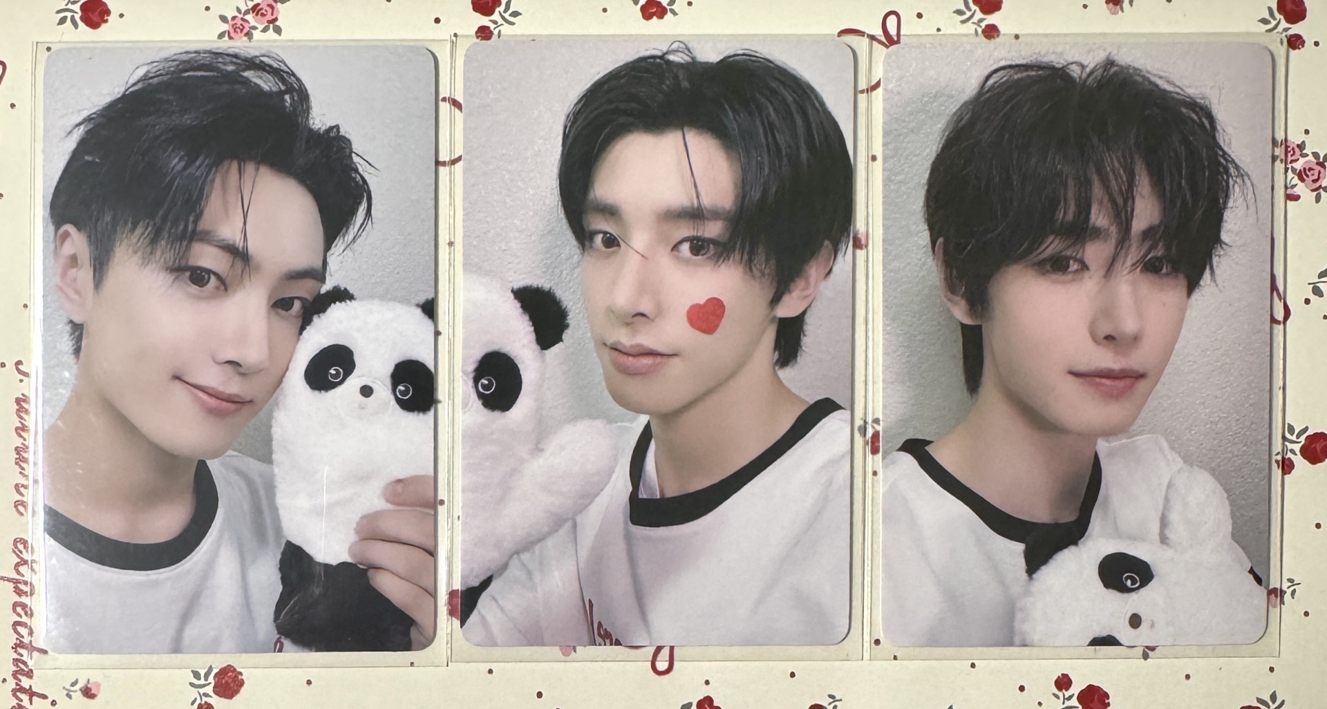 可直拍 一直娛熊貓  星倫訓