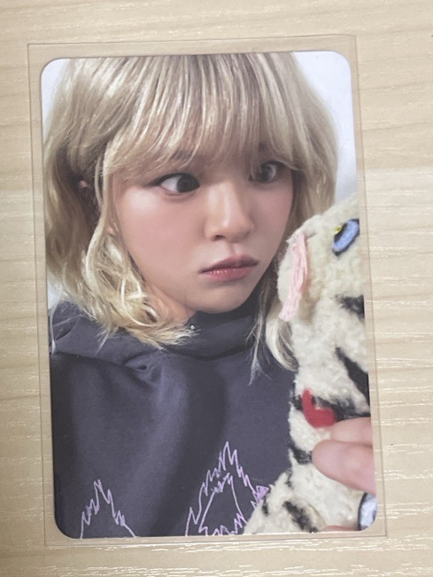 定延 迷14專輯卡