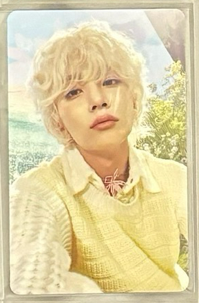this man wvs 特典閃卡