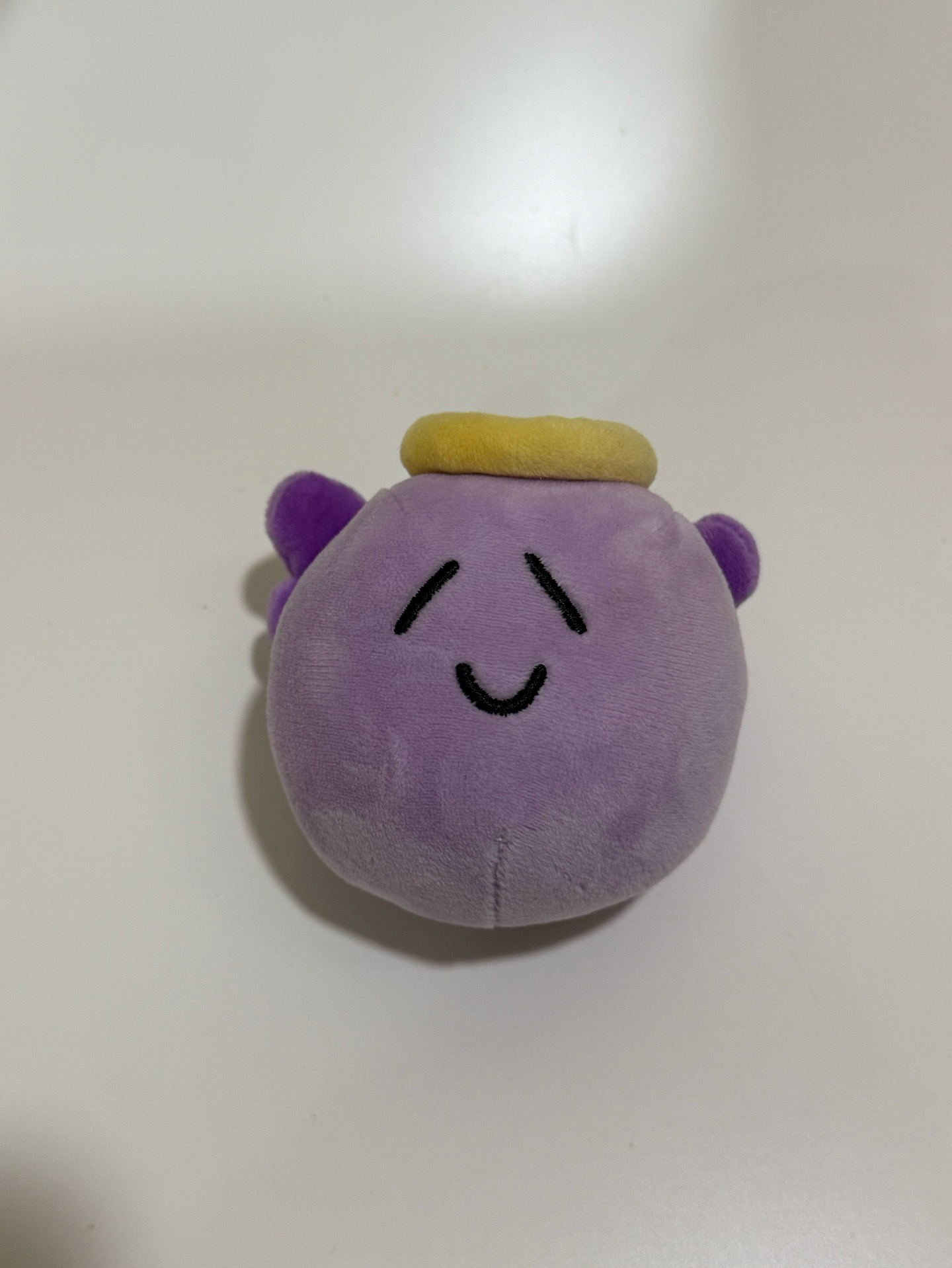 sion日巡球