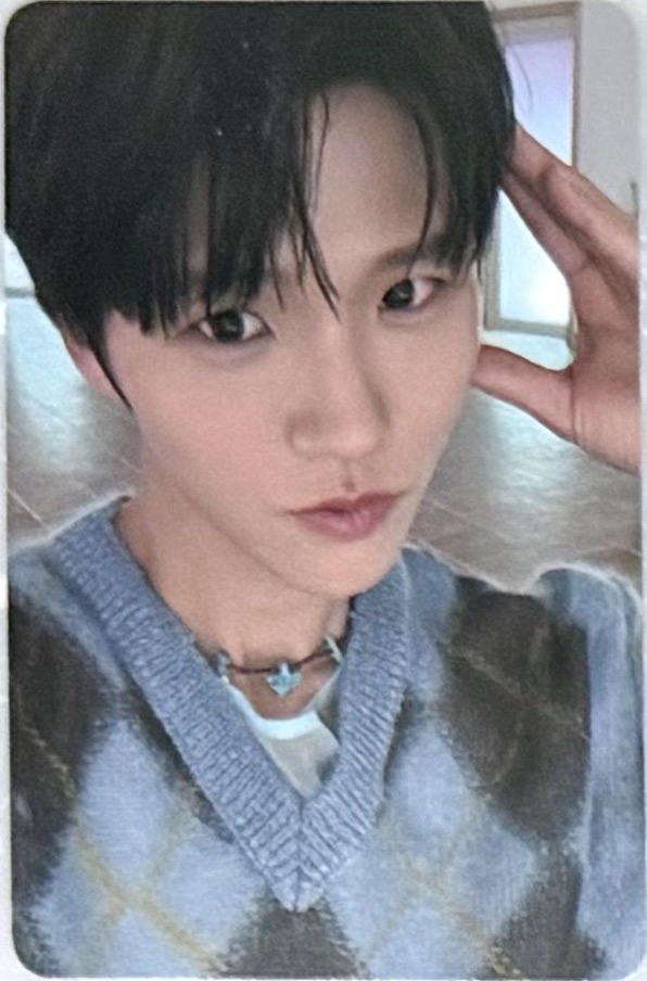 Color el預售Jaehee 狗耳樹