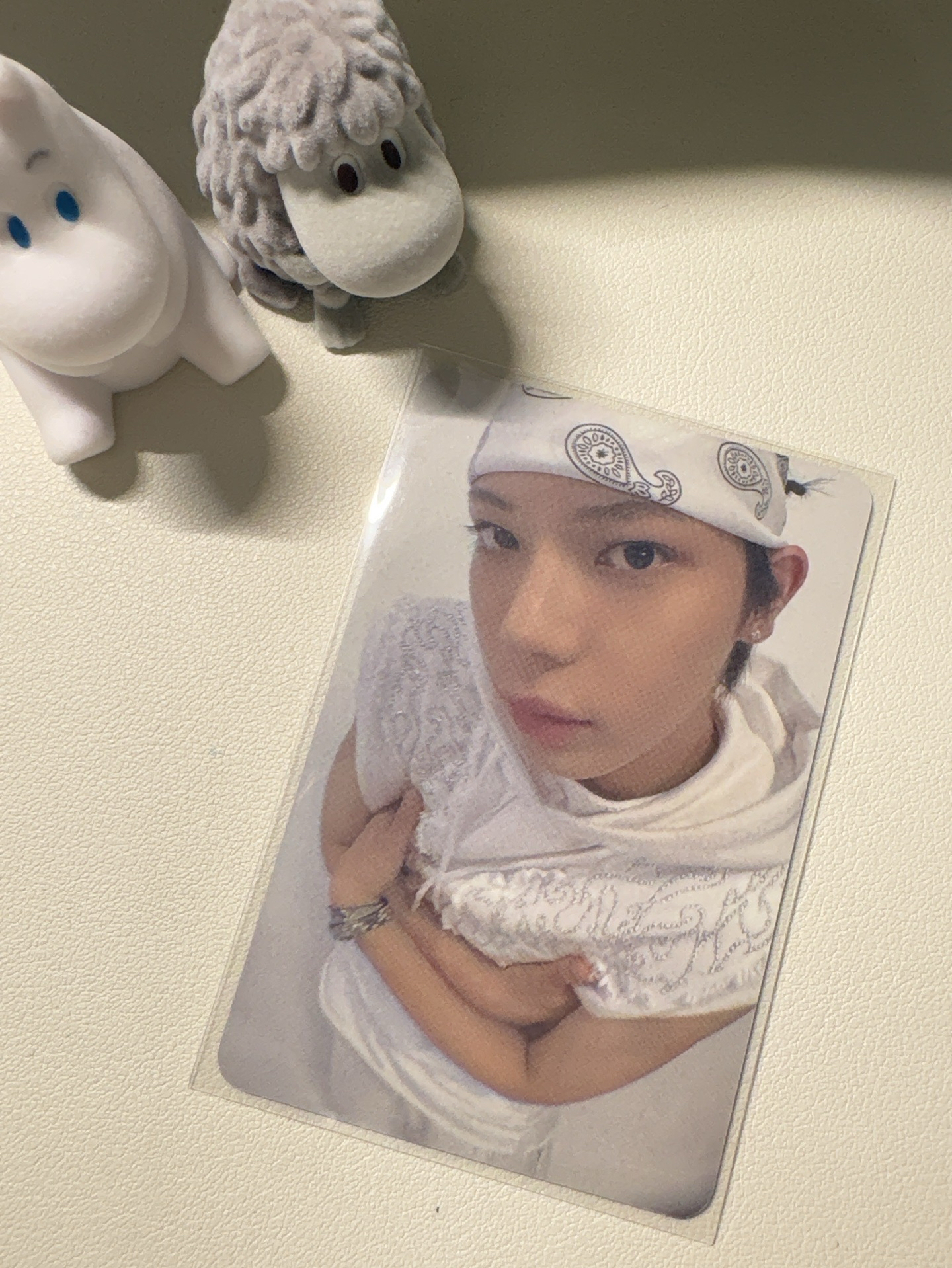 Lngshot｜OY 權五律 小豬咪