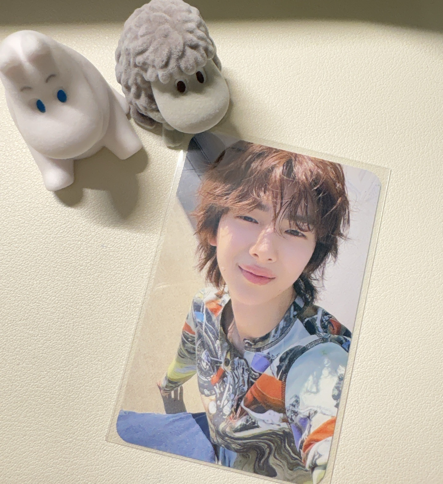 Cortis OY 金主訓 現貨 小豬咪