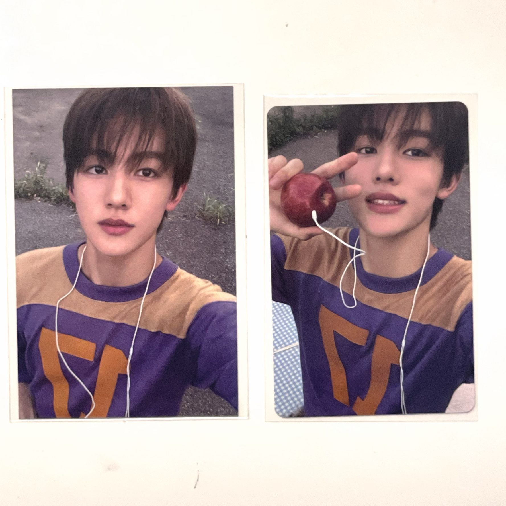 26年曆 wvs 特典卡 /26年曆 年曆卡 手繪卡背 嚴成玹