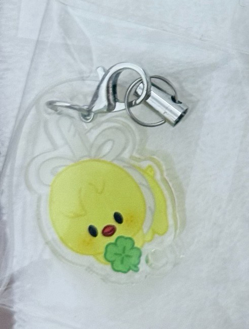 原皮拿幸運草菲