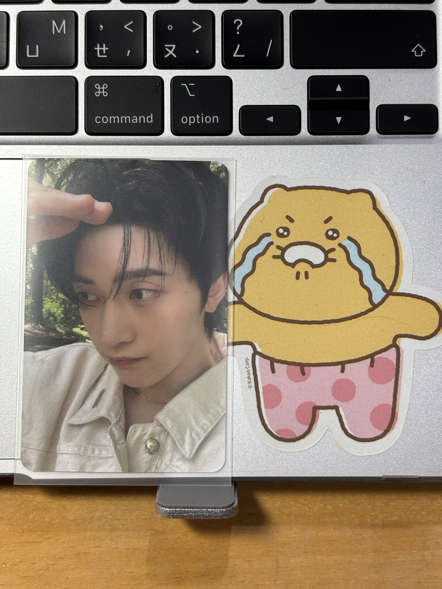 正一 星河 東張西望修