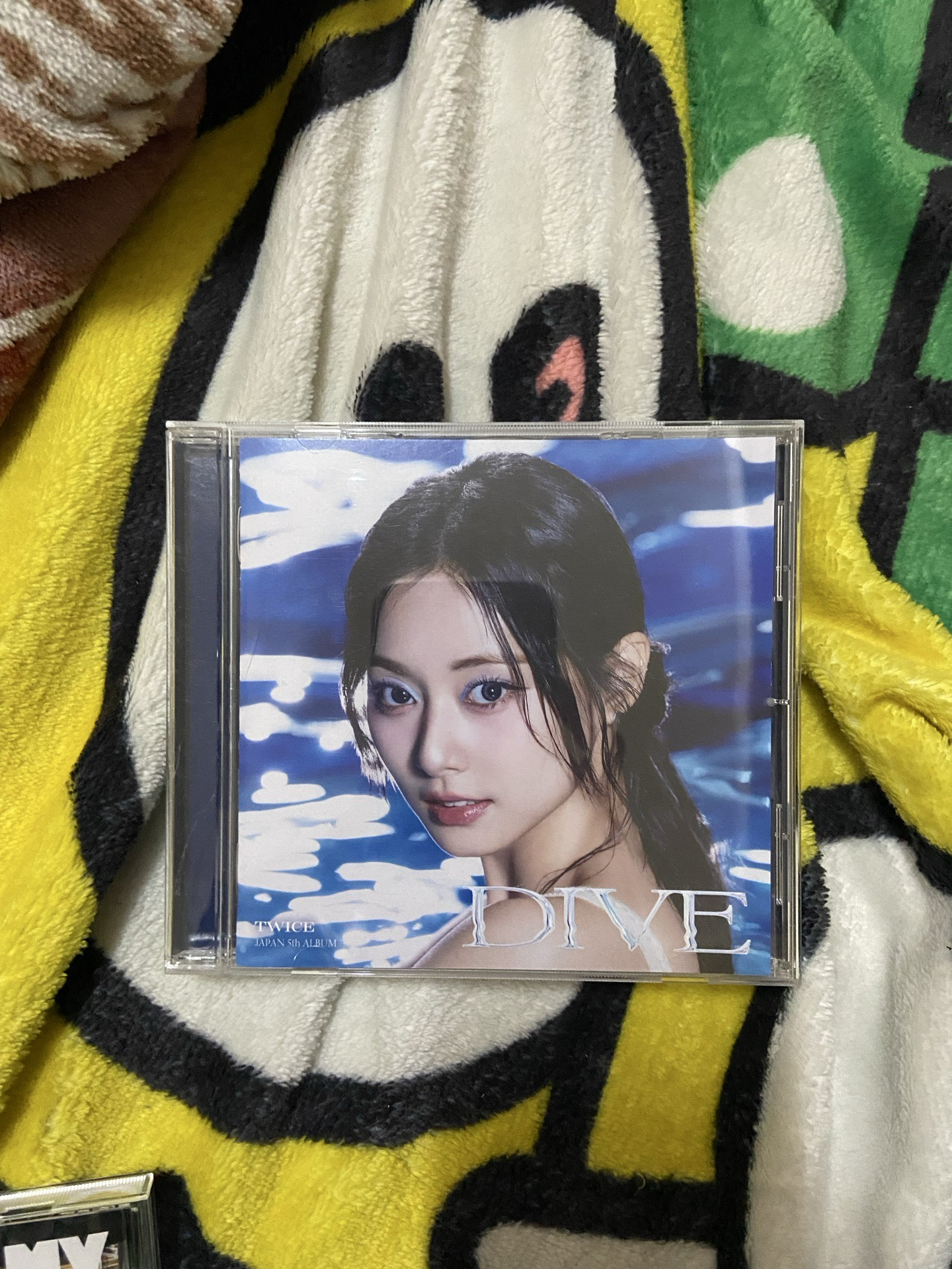 DIVE瑜