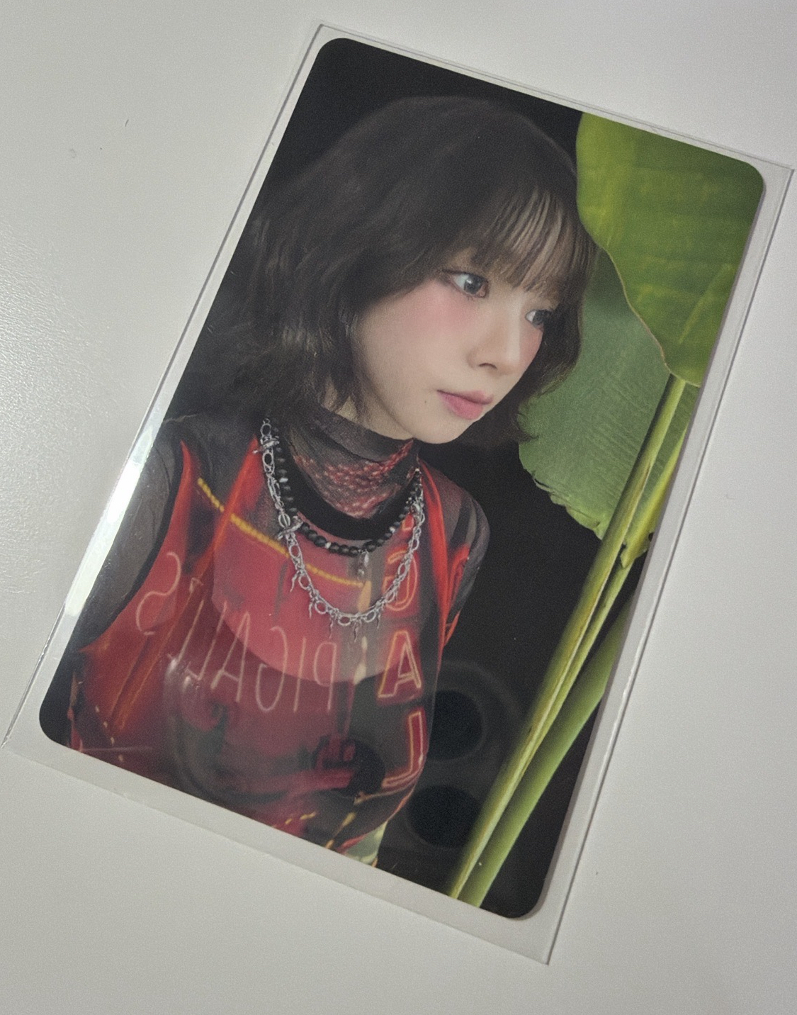 SM town 隨機卡柚