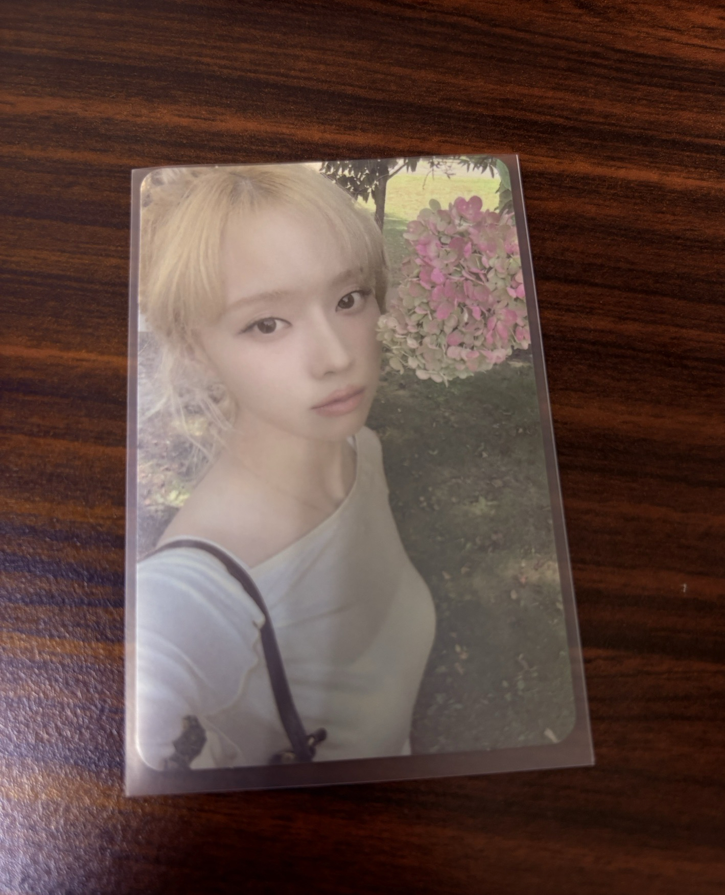 aespa Whiplash Mini 5 SM 幸運卡 冬 金旼炡 Winter 