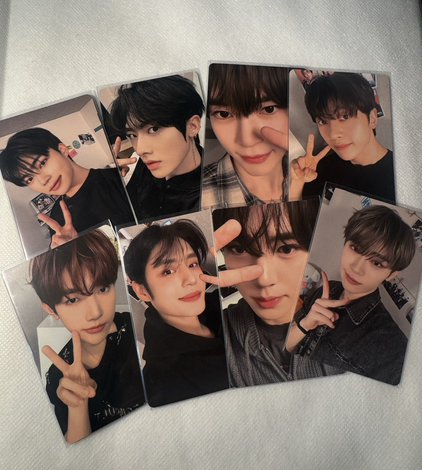 台北場入場卡一套無奎（共8張）