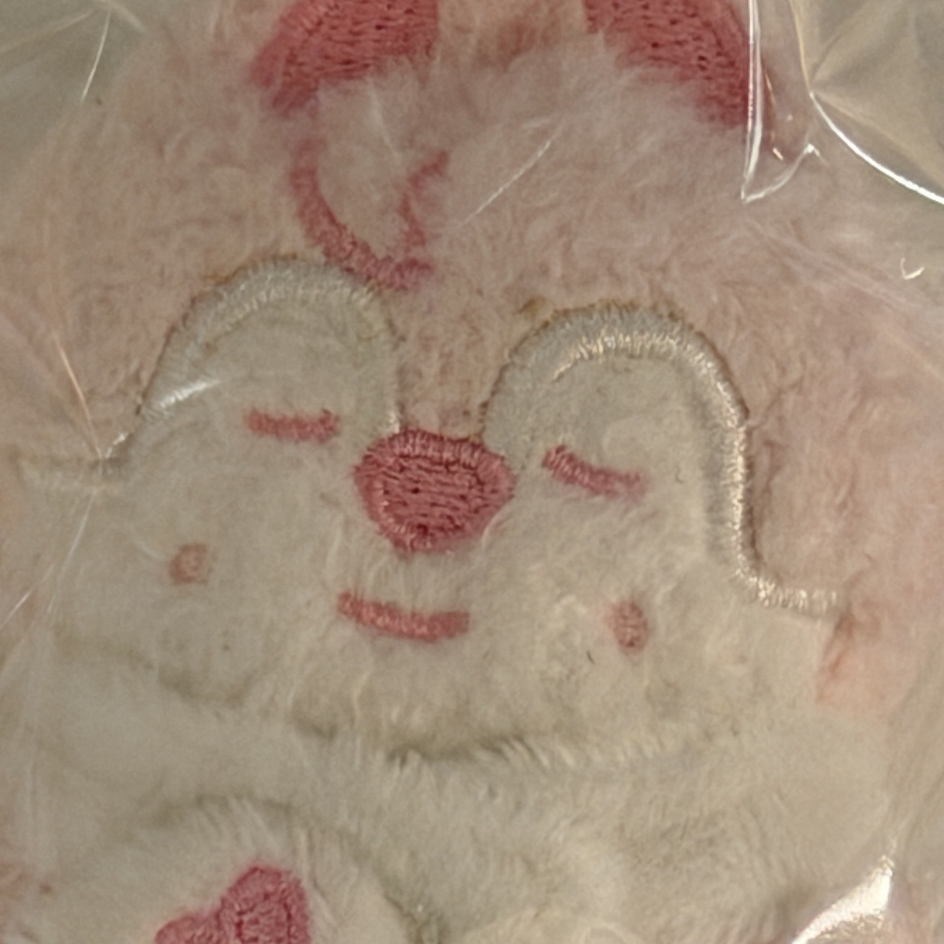 ［廠損］六期飯咪 潦草娃 草莓燦