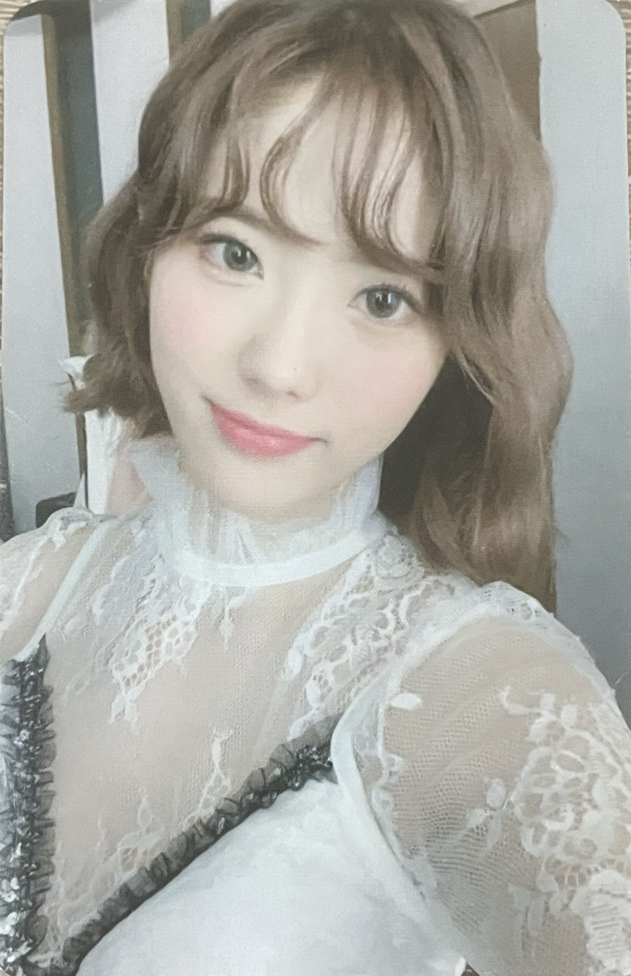 WJ STAY?專卡一套