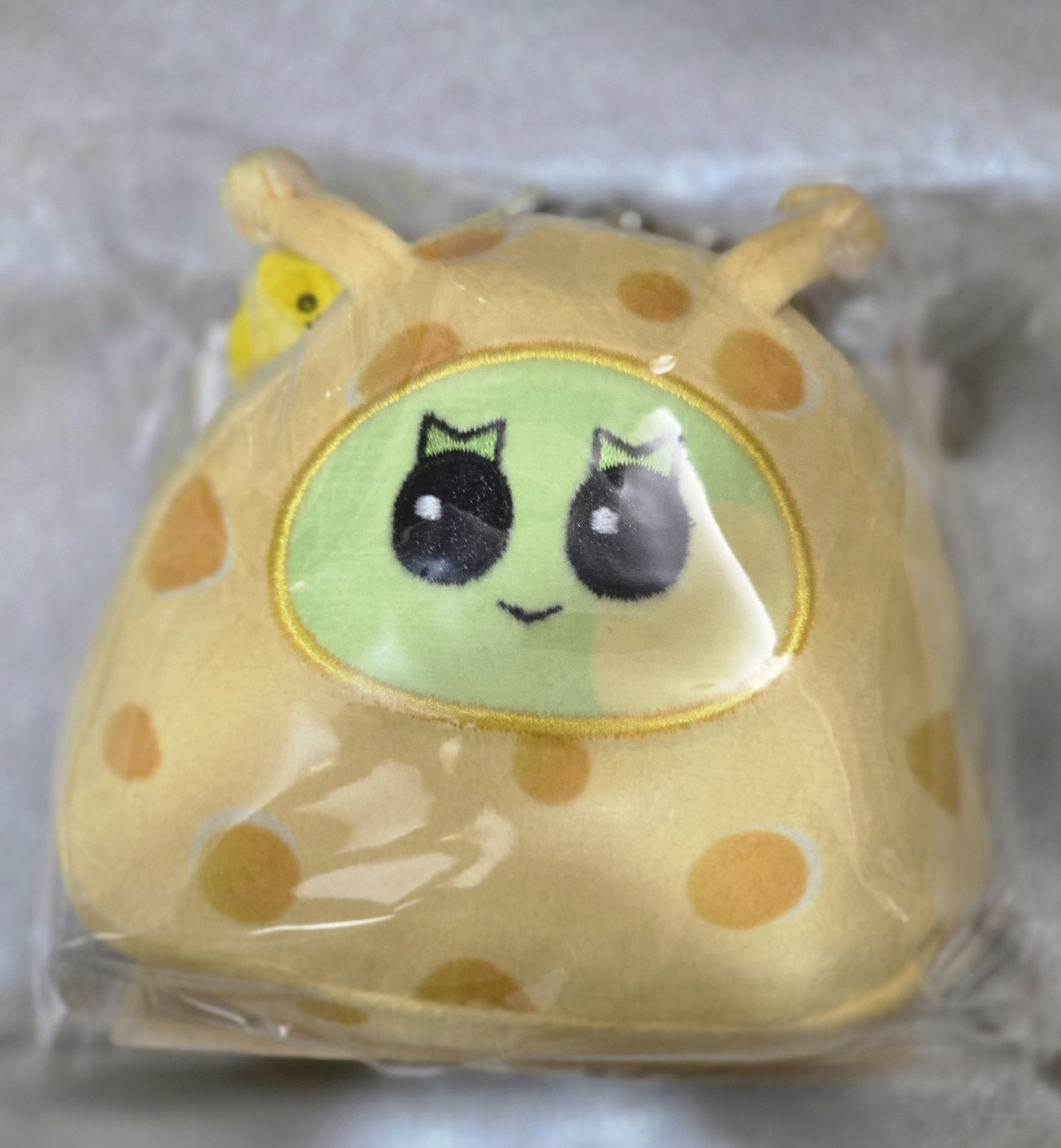 [現貨] 李涵 起司貓