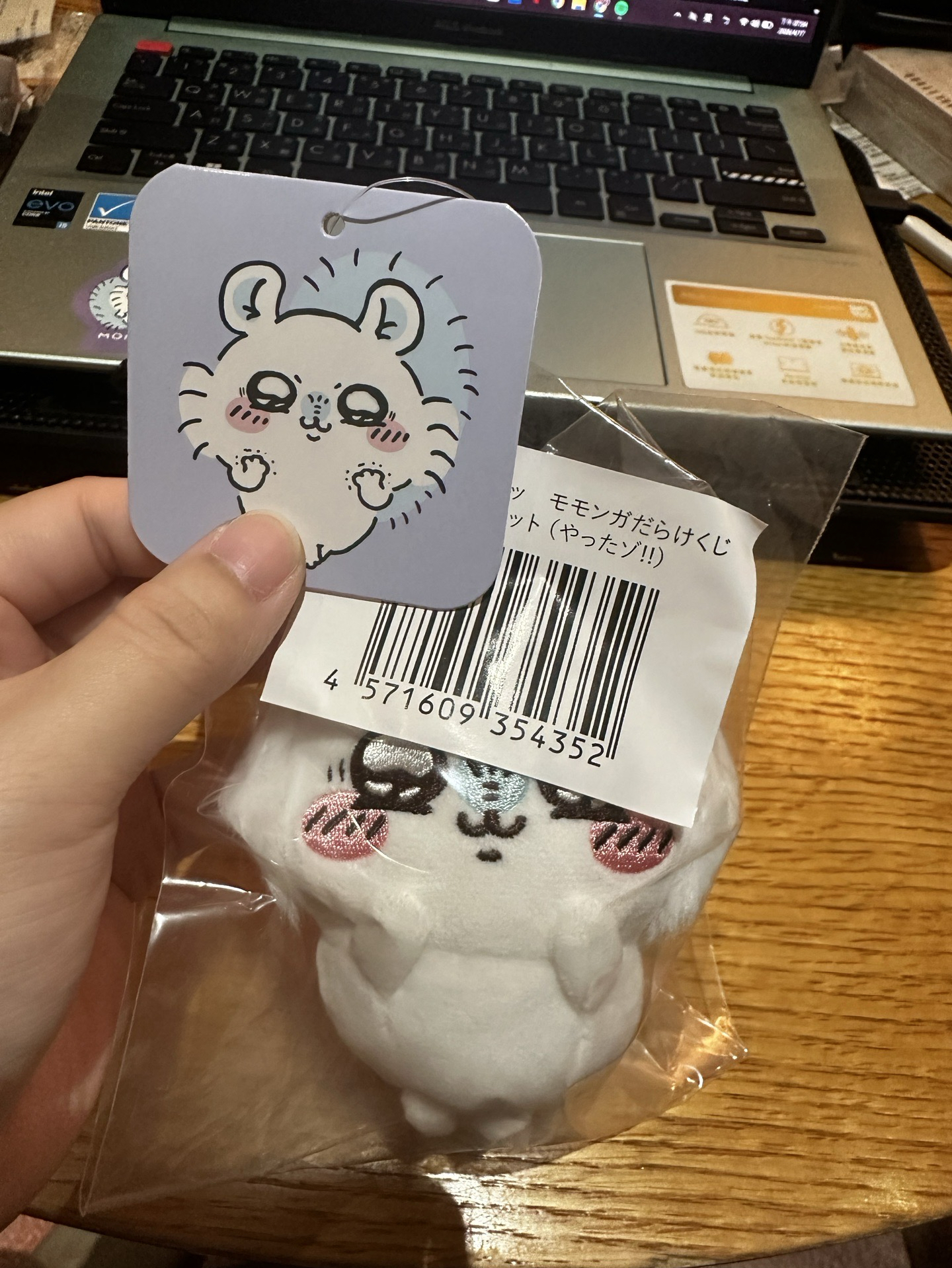 やったゾ！