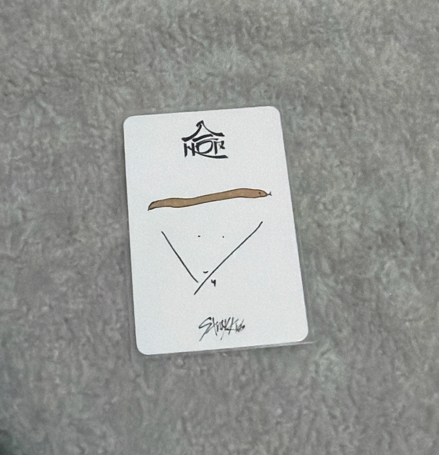 順毛比心彬🐽🐰