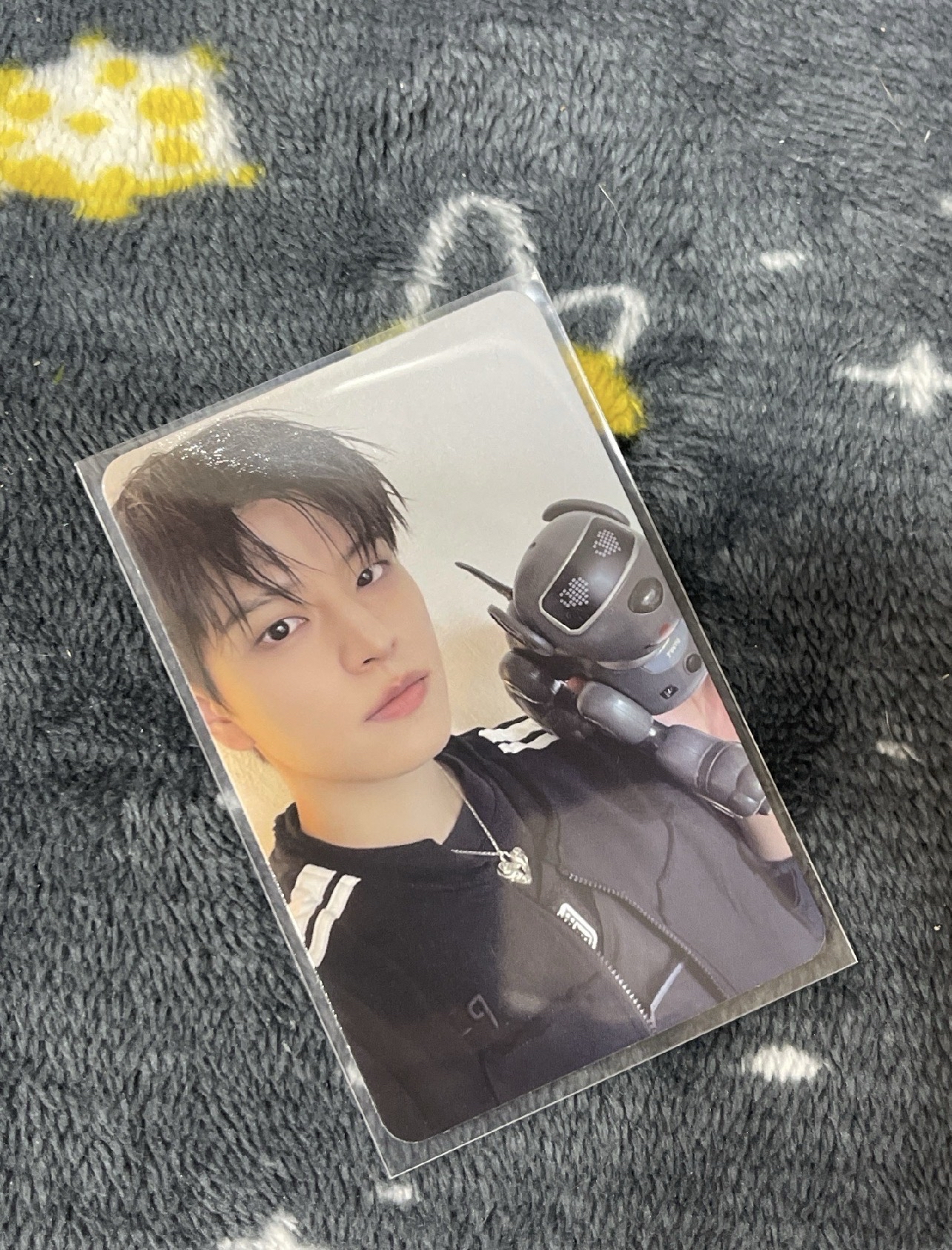 🩵機械小狗和小狗