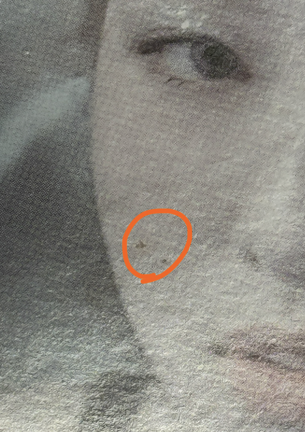 -R-美版專輯+BPTG 專輯 coupon card ver.