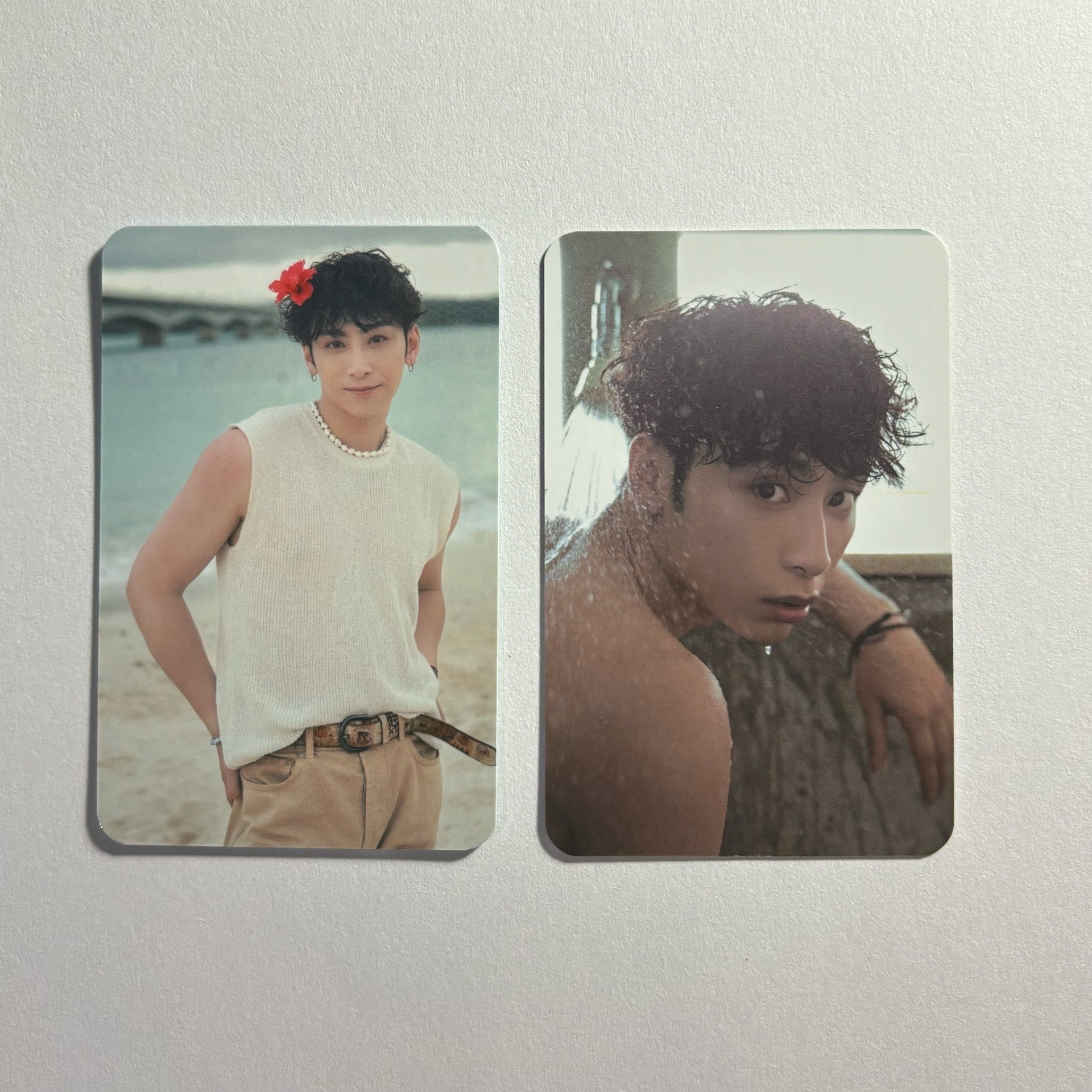 FEniX 曹家齊 赫茲 專輯卡