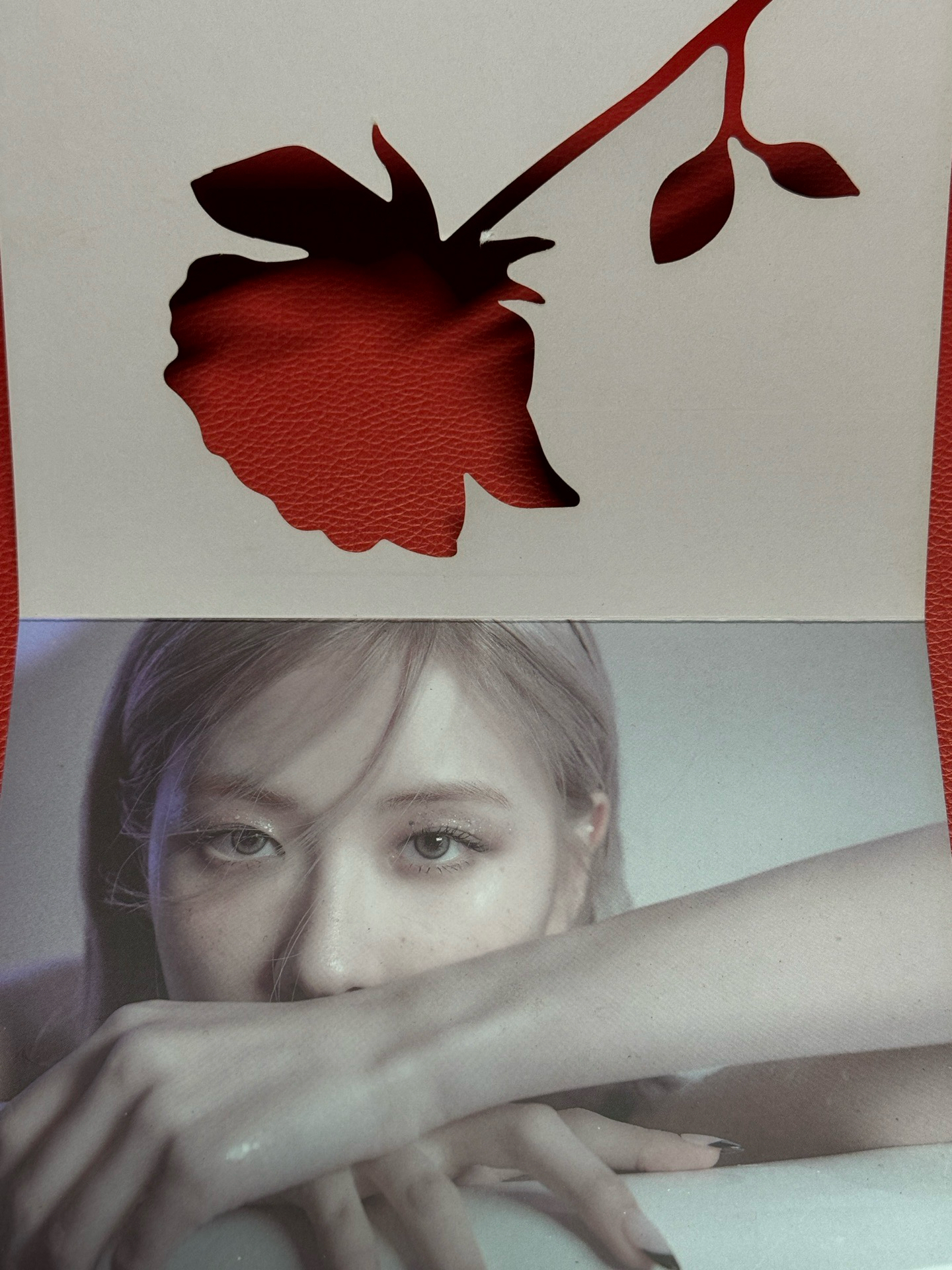 -R- 明信片 泰國特典 Rosé