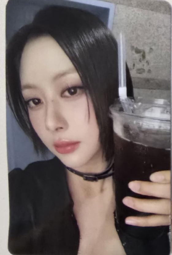心茗