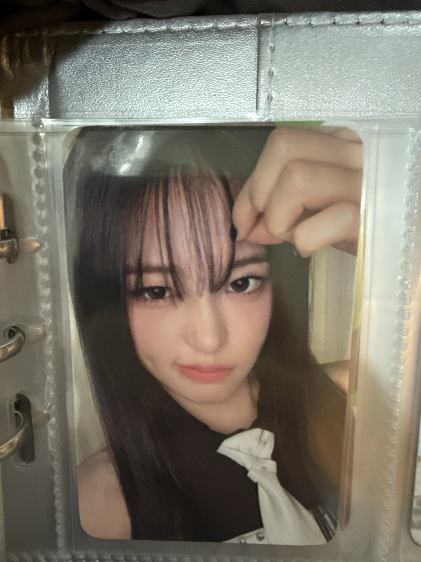 整理瀏海的安狗狗