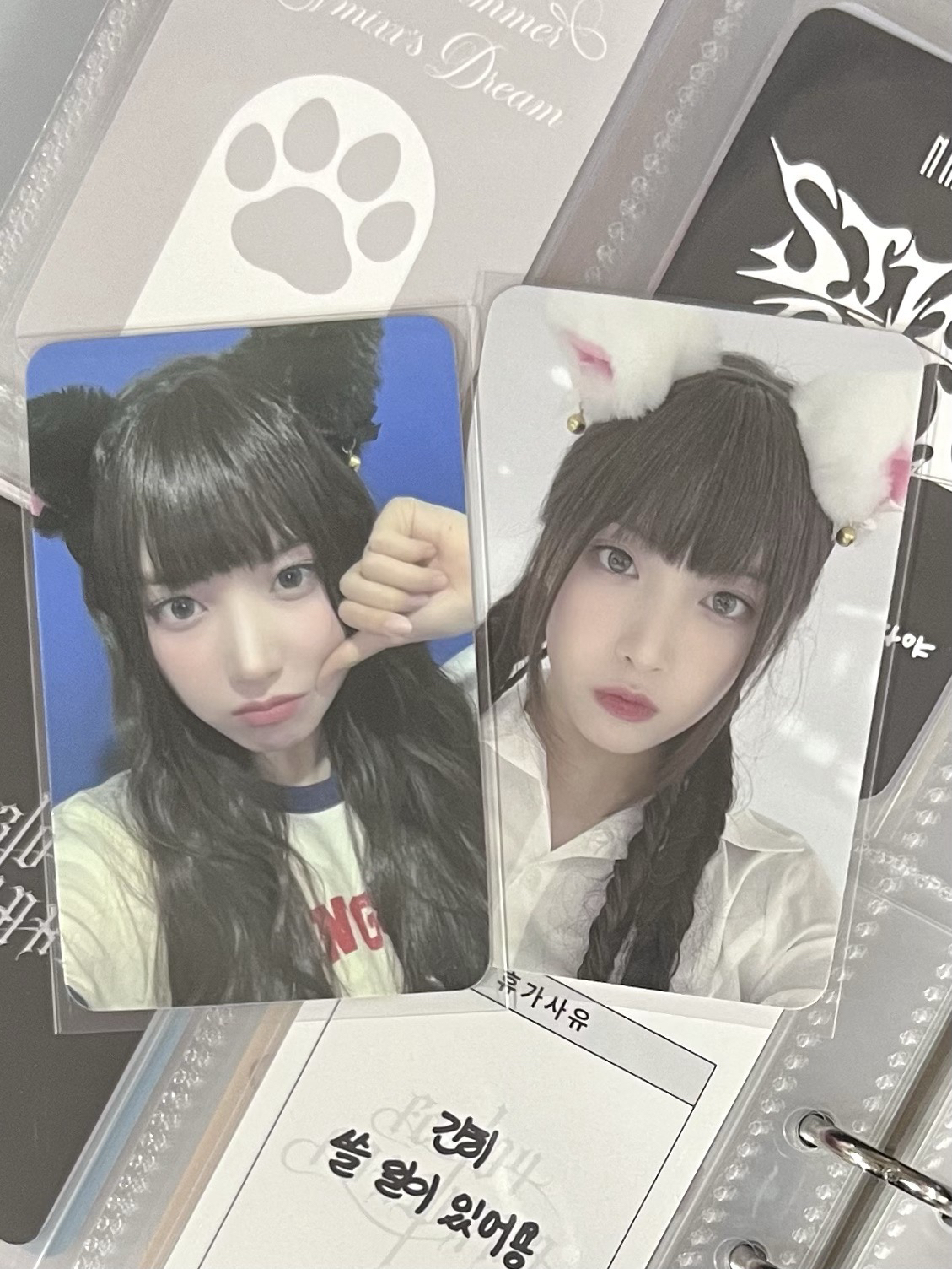 💫 NMIXX 黑白貓友 一套