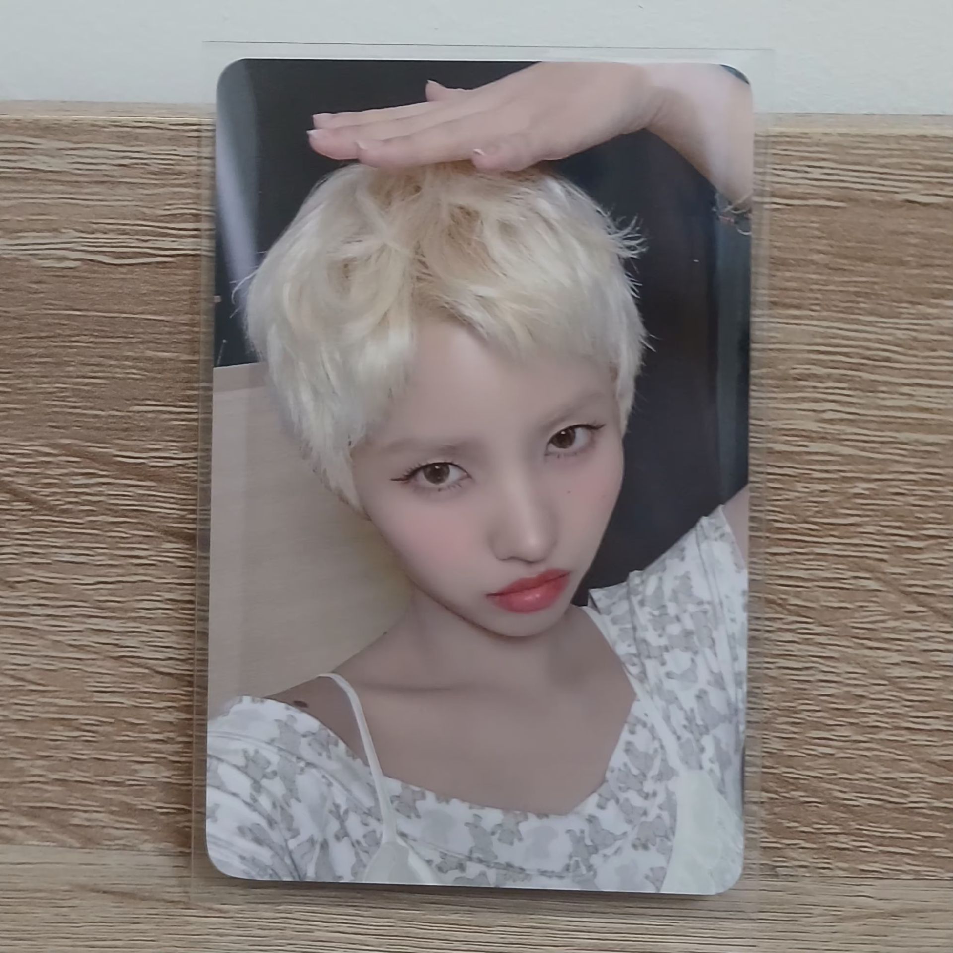 idle 迷八 EL摸摸頭娟💕