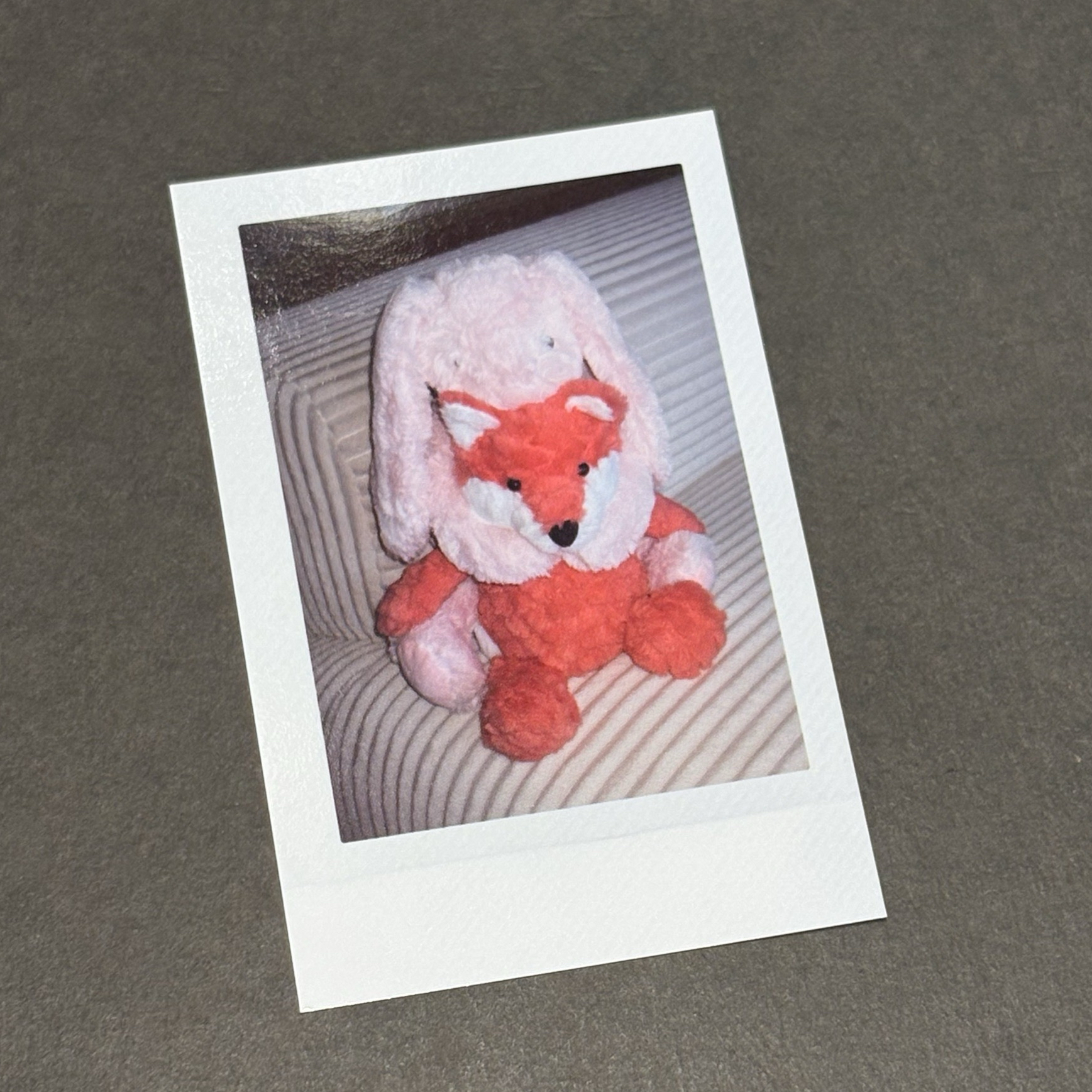 🧸2