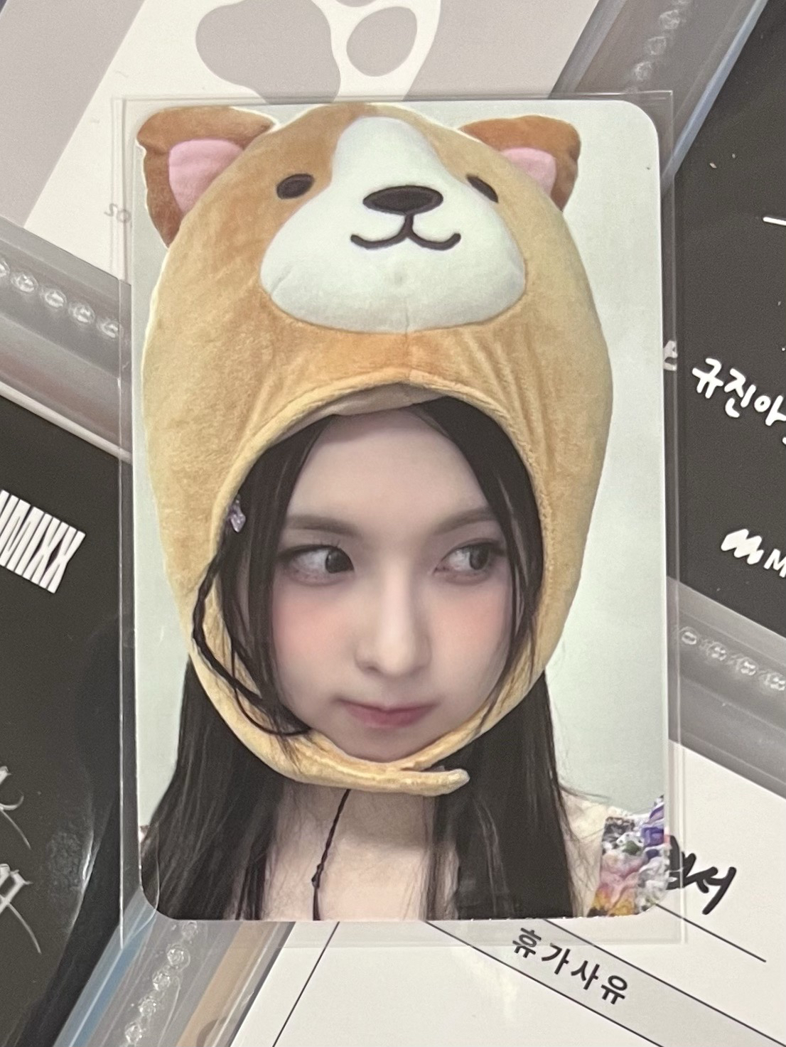 💫 NMIXX 仲夏夜頭套裴