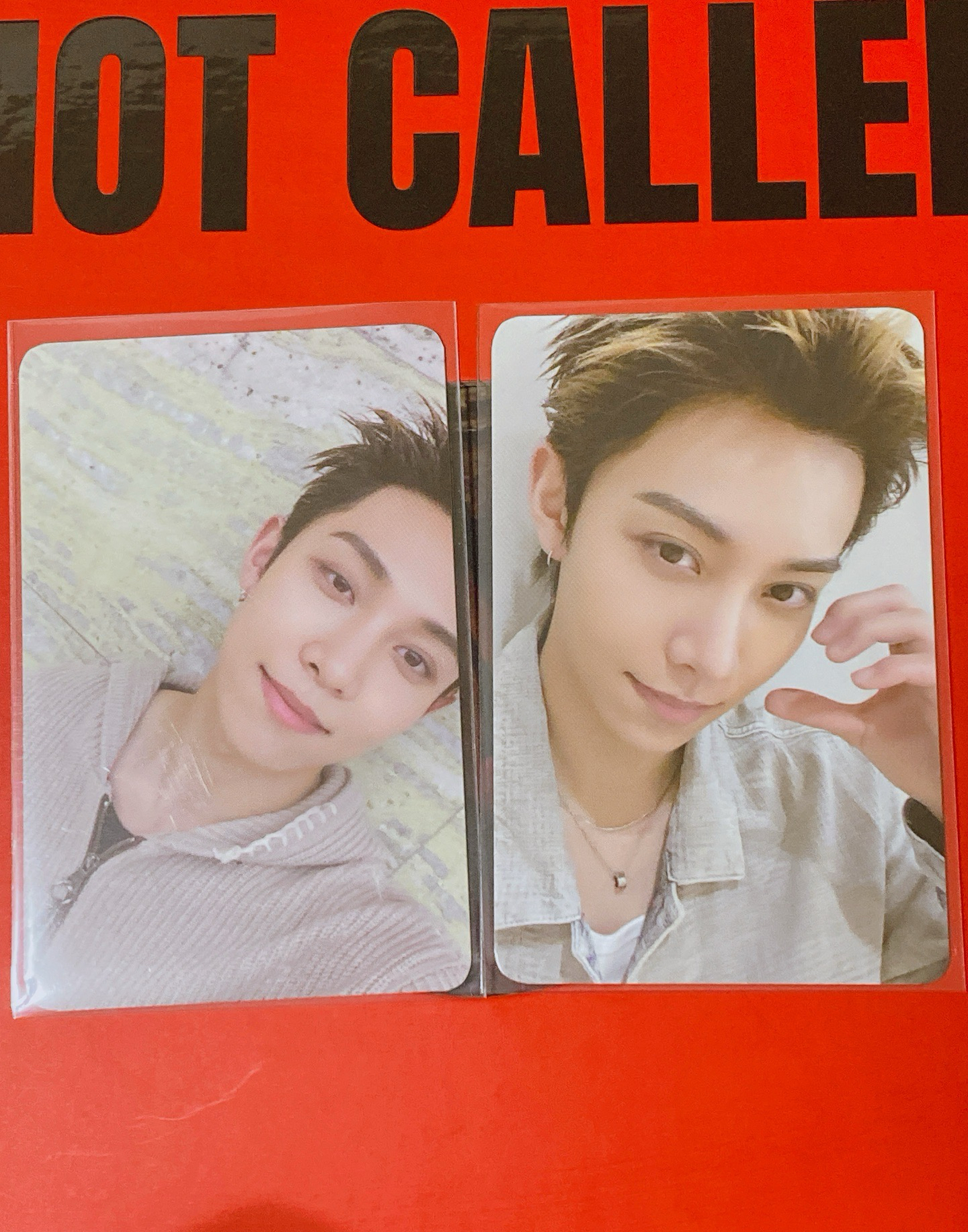 （現貨）金栗早鳥一套